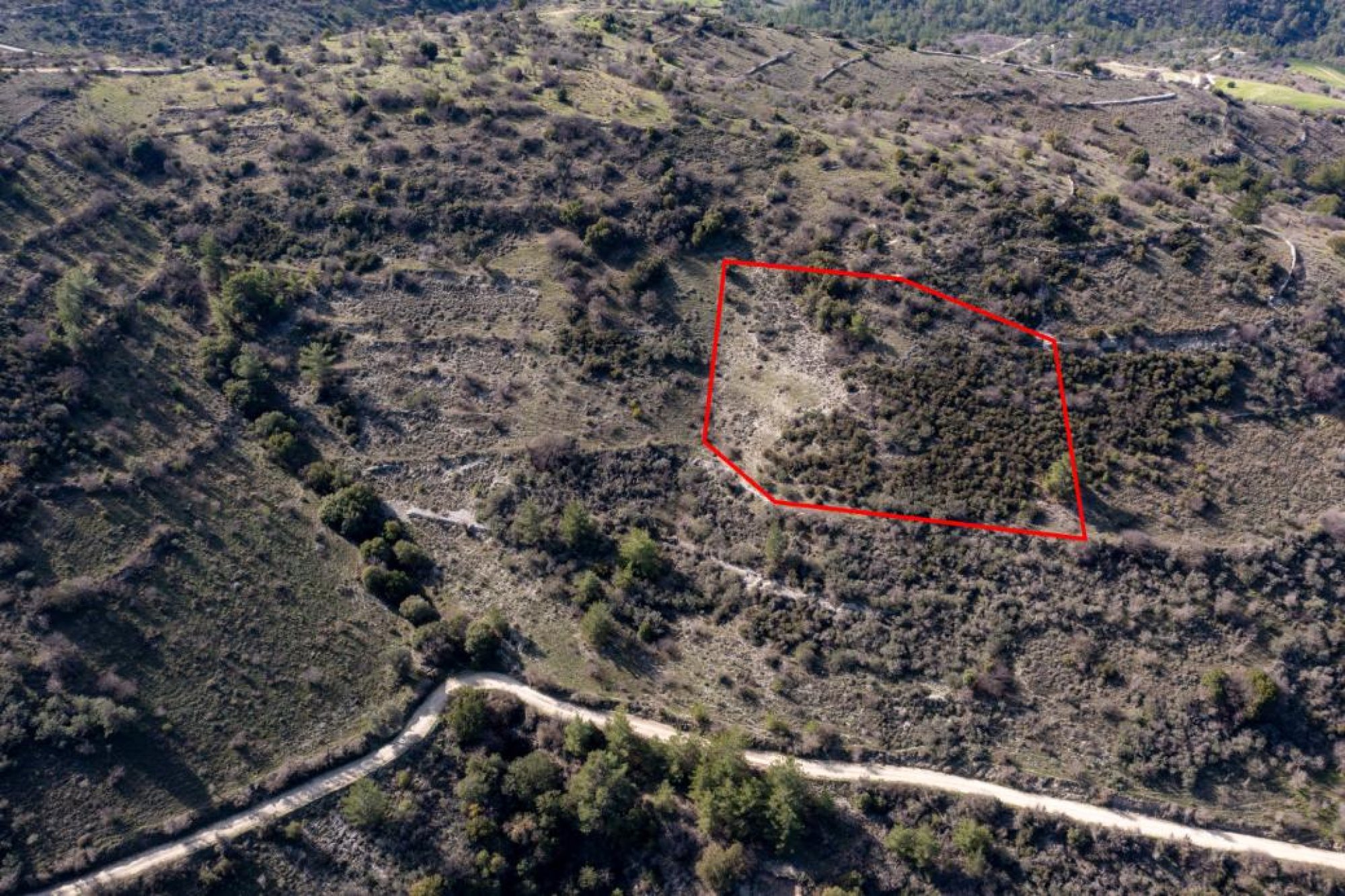 For Sale, Land, Field, Limassol, Dora, 6,355m² — image 3