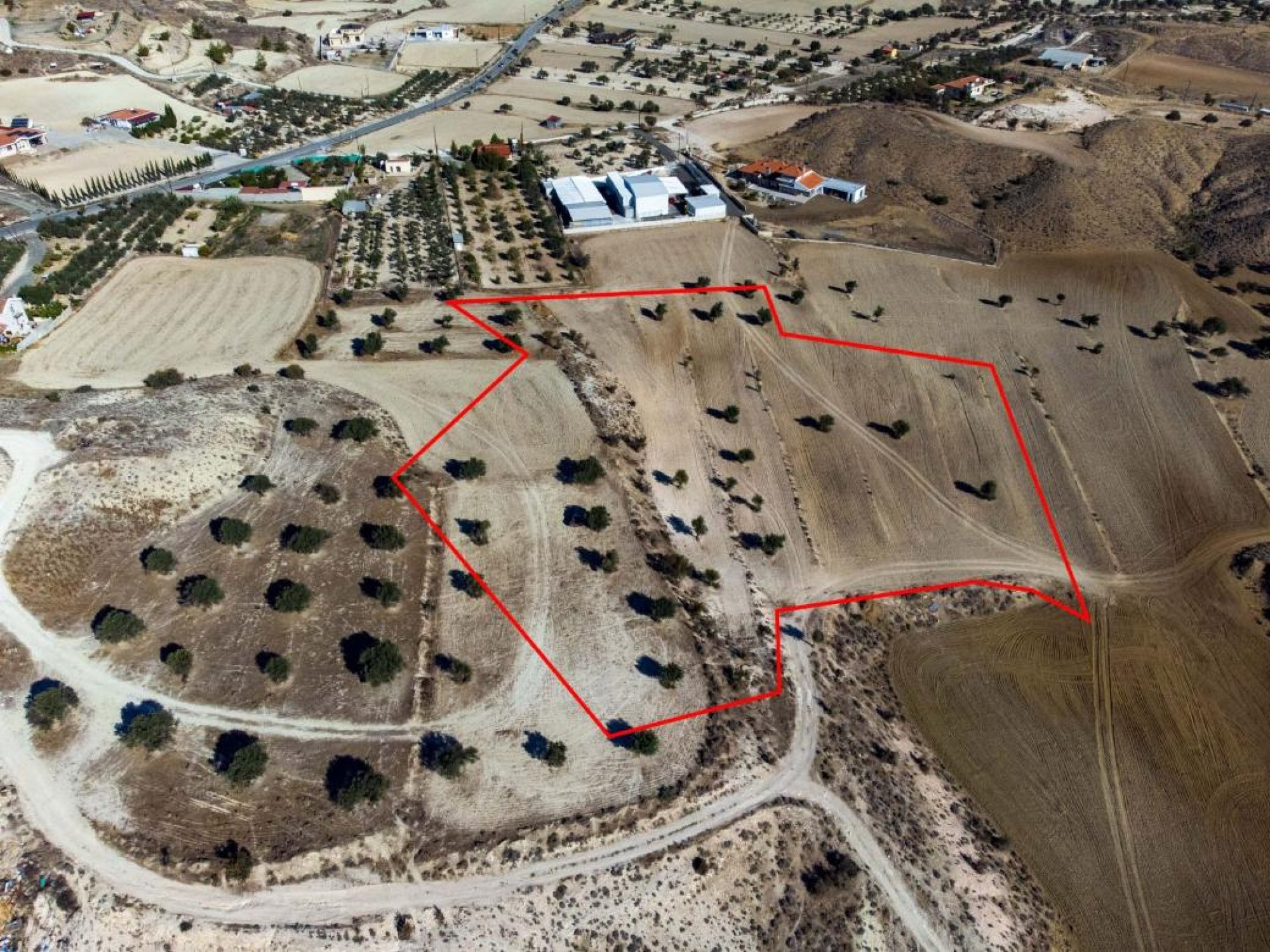 For Sale, Land, Field, Nicosia, Analiontas, 11,706m² — image 2