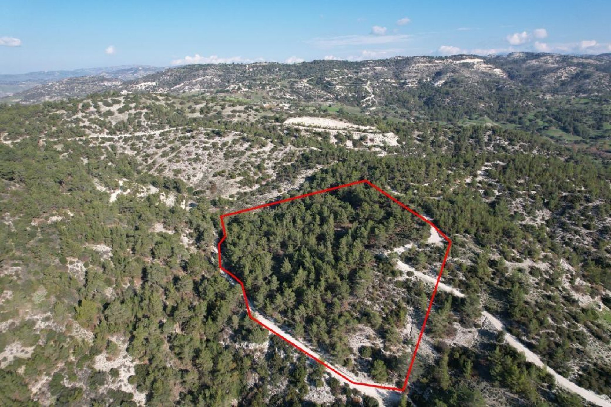 For Sale, Land, Field, Paphos, Archimandrita Pano, 27,760m² — image 2