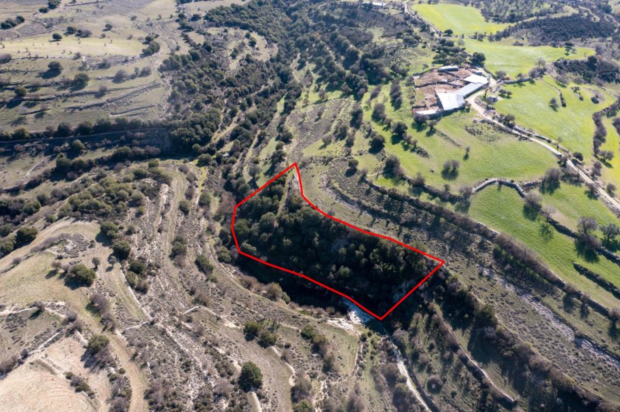 For Sale, Land, Field, Limassol, Dora, 5,017m² — image 3