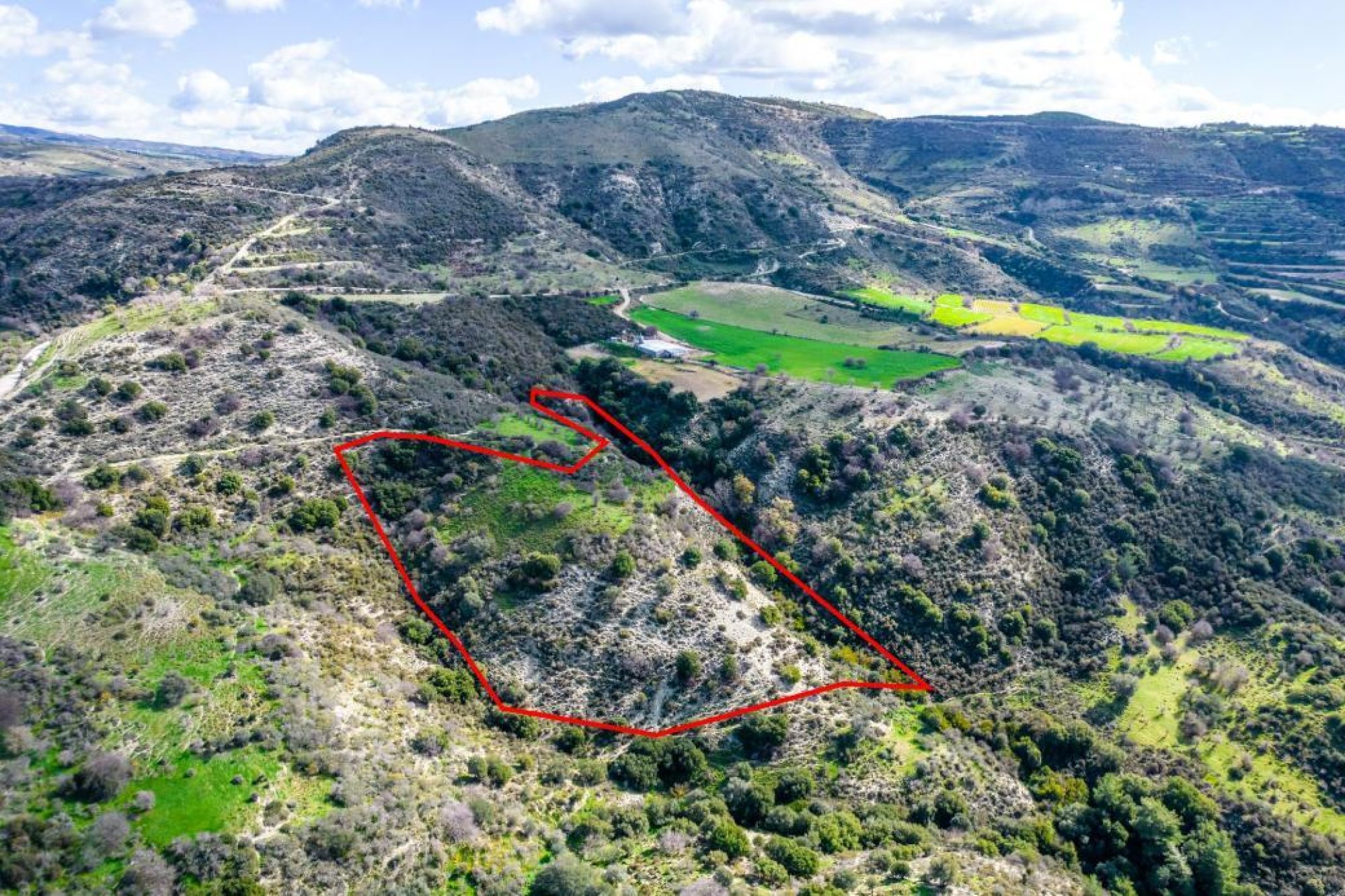 For Sale, Land, Field, Limassol, Dora, 17,392m² — image 3