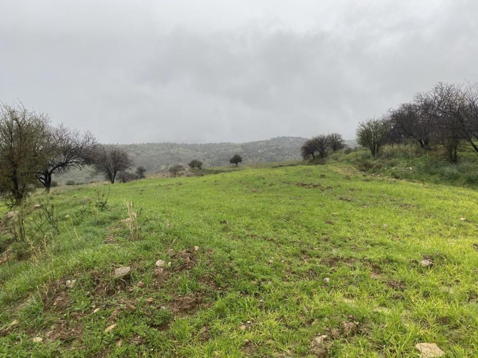 For Sale, Land, Field, Paphos, Kelokedara, 12,041m² — image 4