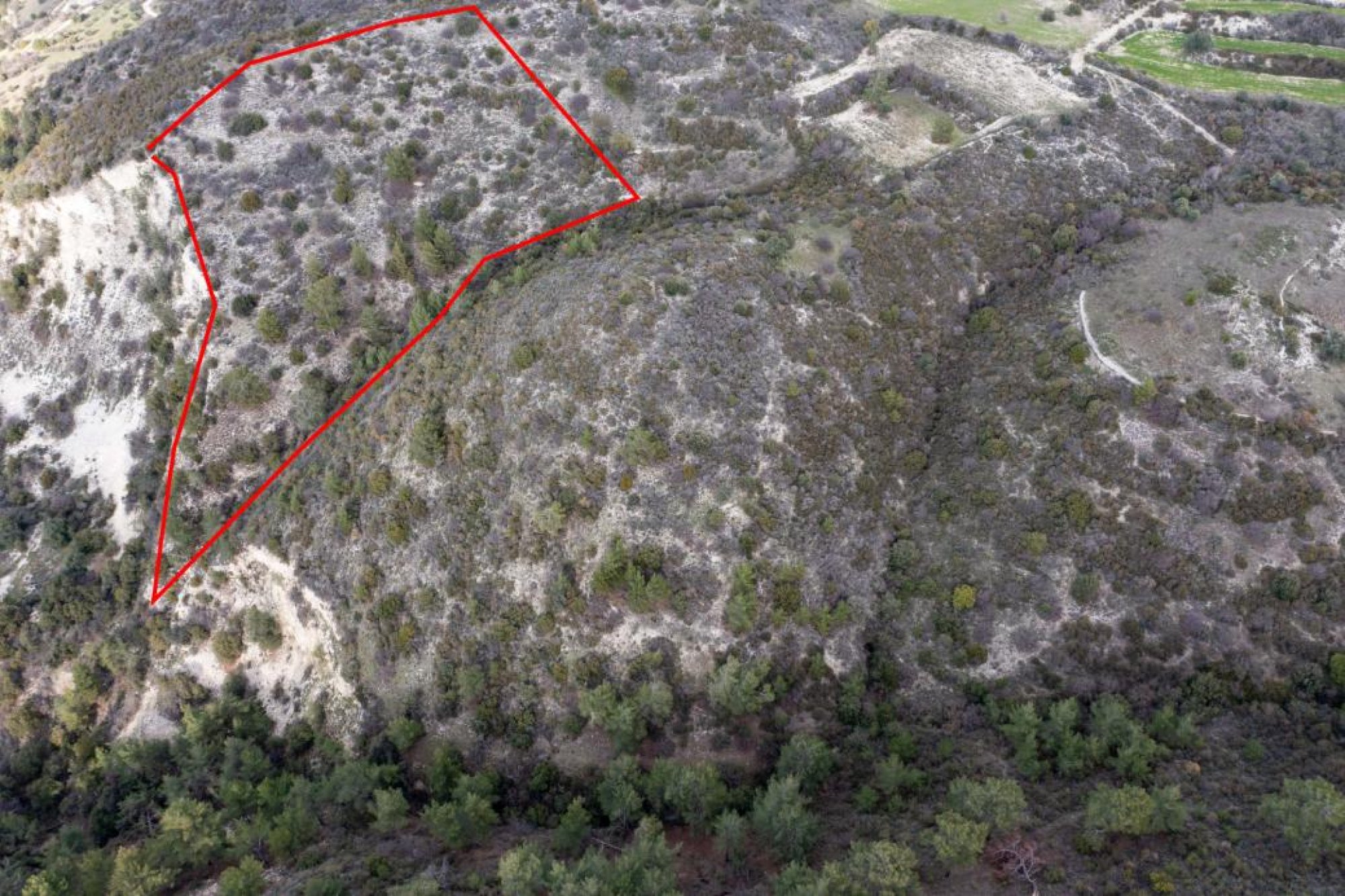 For Sale, Land, Field, Limassol, Dora, 12,041m² — image 2