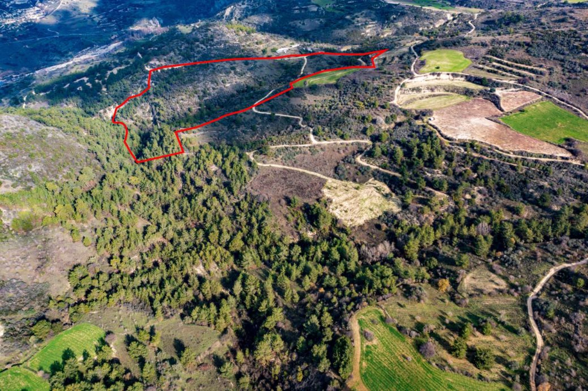 For Sale, Land, Field, Limassol, Dora, 109,031m² — image 2