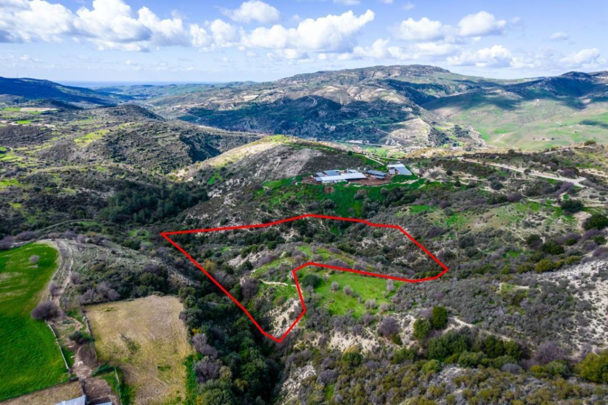 For Sale, Land, Field, Limassol, Dora, 17,392m² — image 2