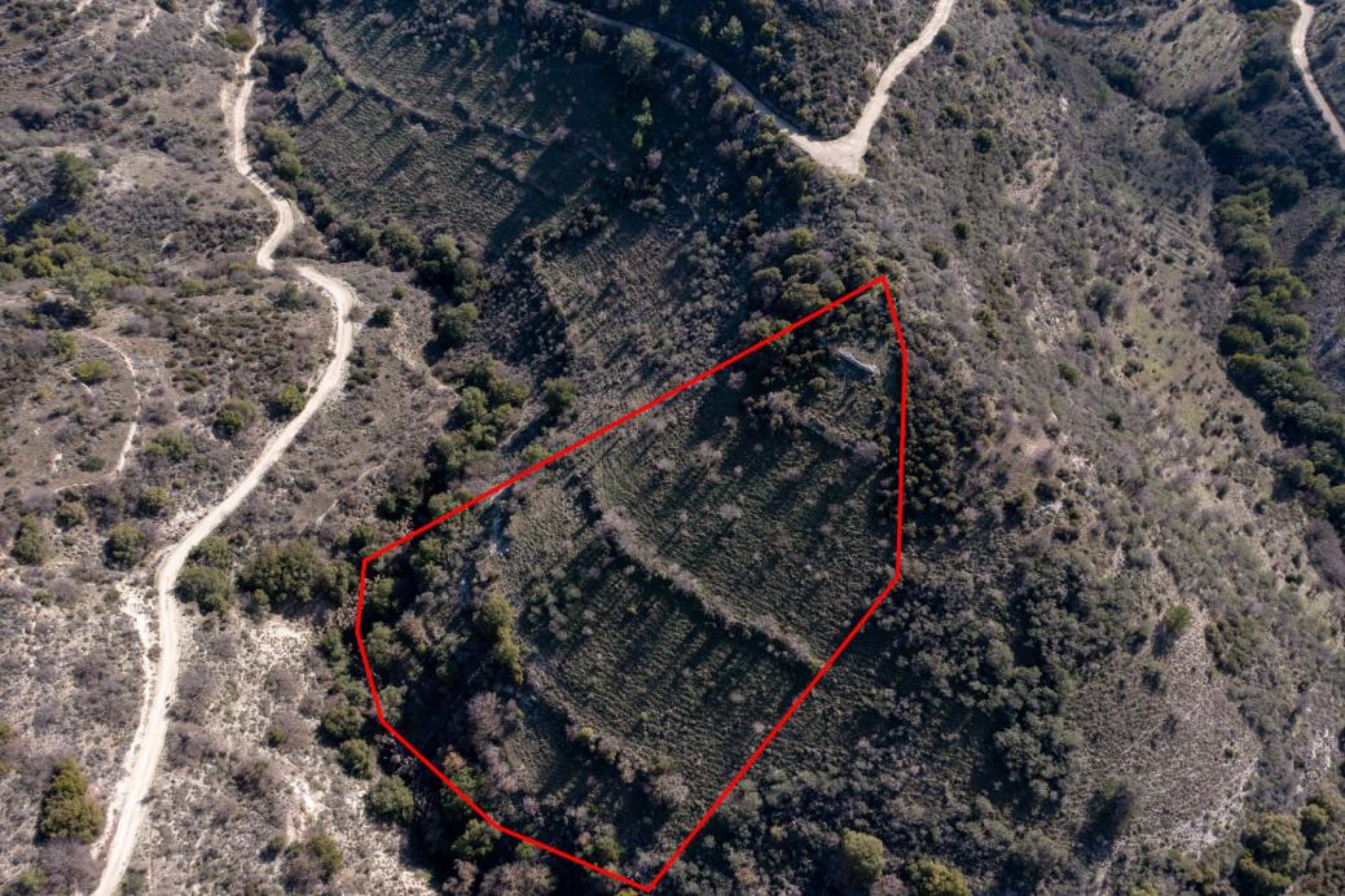 For Sale, Land, Field, Limassol, Dora, 12,041m²