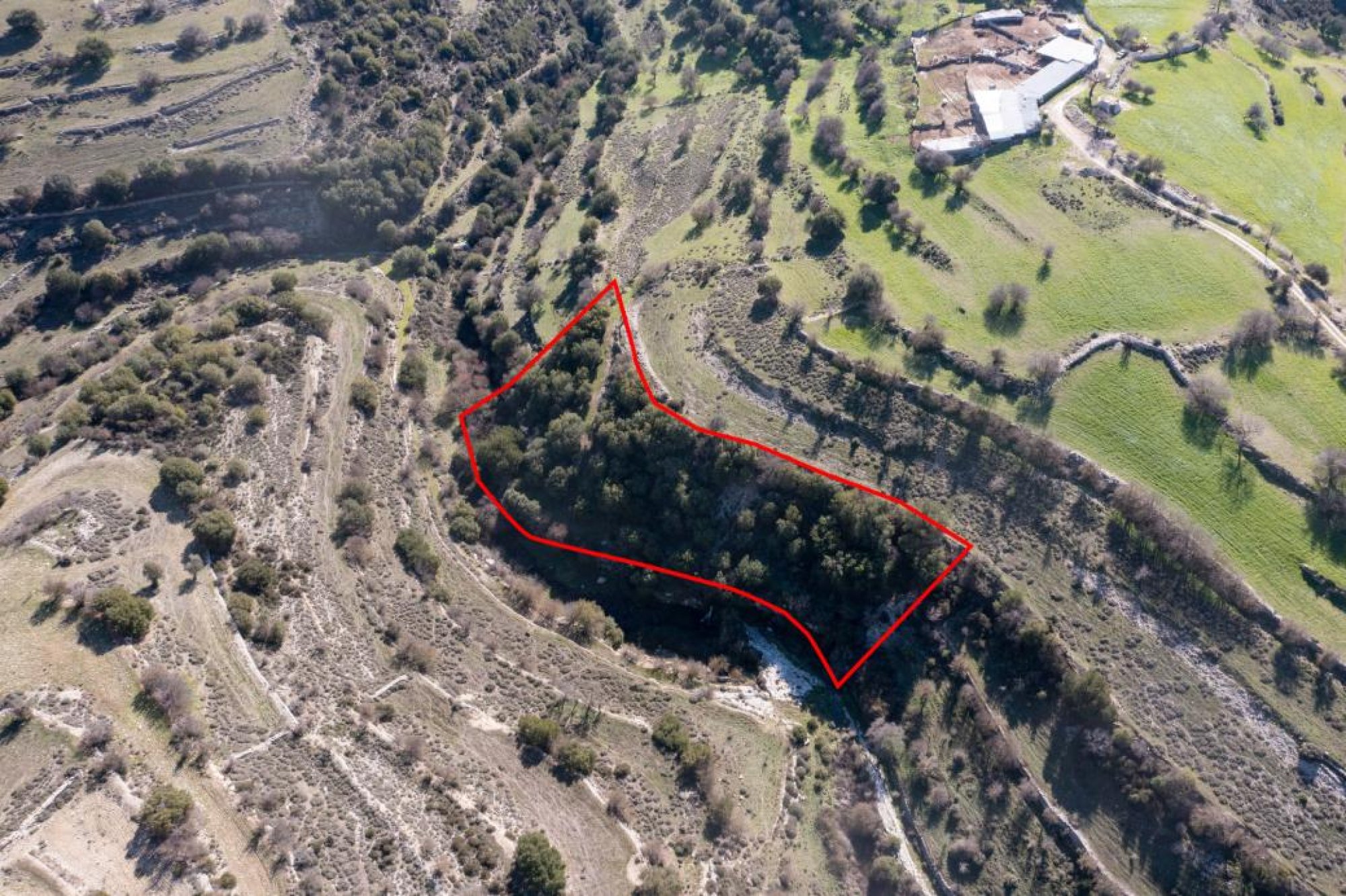 For Sale, Land, Field, Limassol, Dora, 5,017m² — image 2