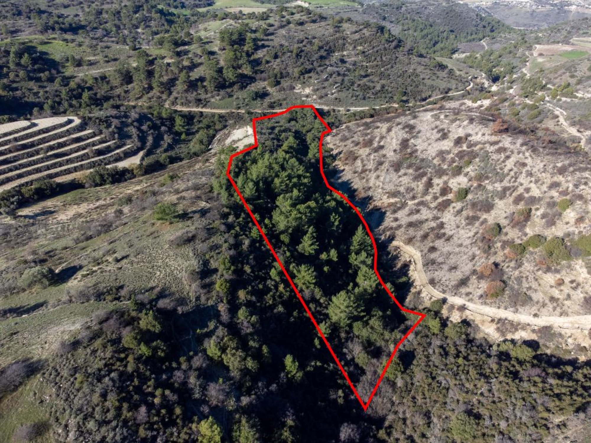 For Sale, Land, Field, Paphos, Mousere, 19,399m² — image 2