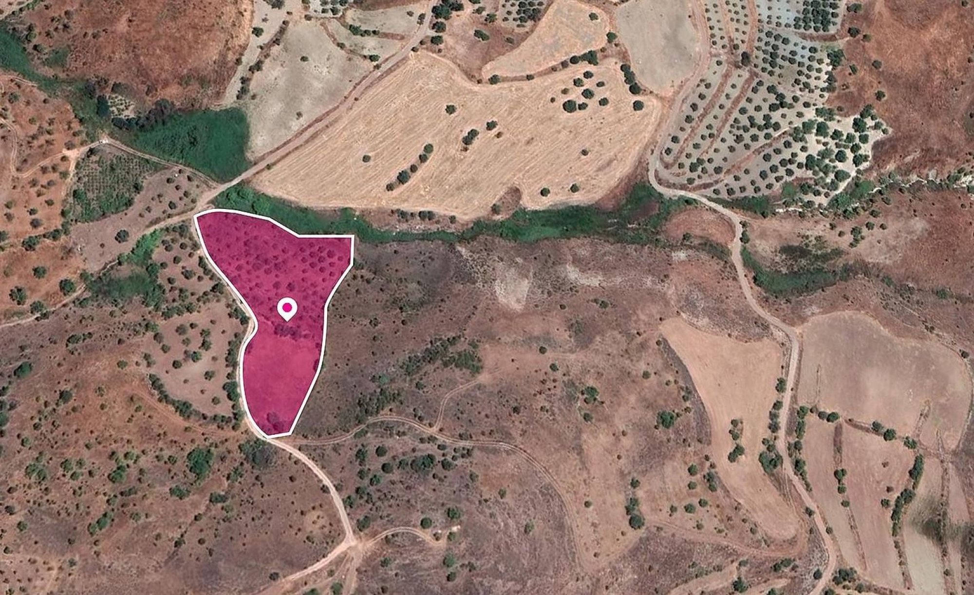 For Sale, Land, Field, Paphos, Episkopi, 7,535m² — image 3