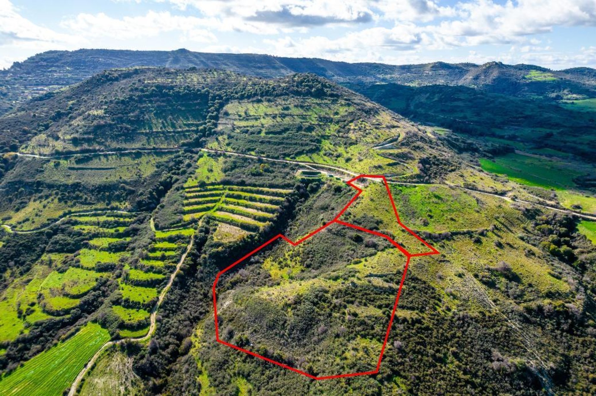 For Sale, Land, Field, Limassol, Dora, 17,559m² — image 3