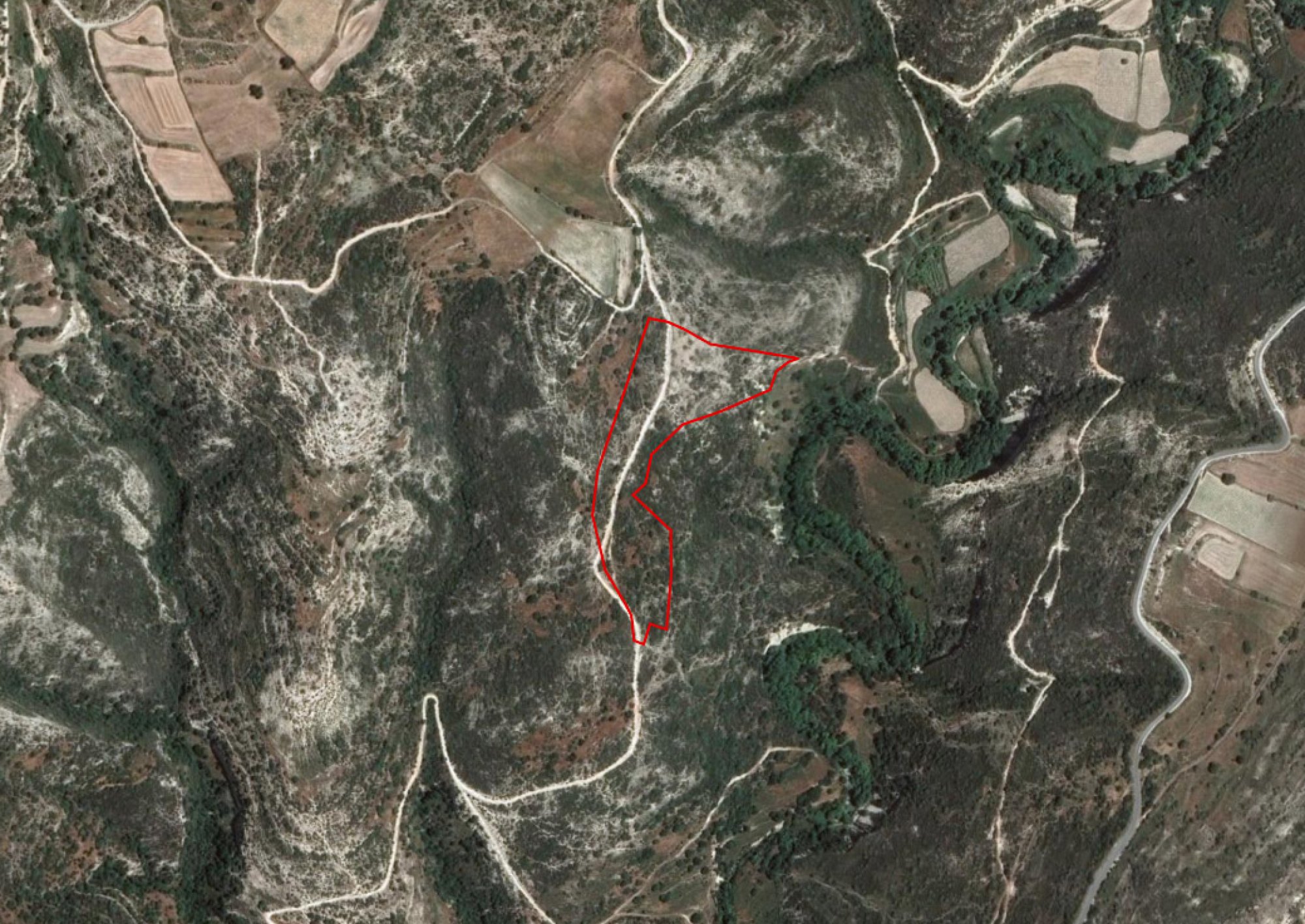 For Sale, Land, Field, Limassol, Dora, 25,753m²