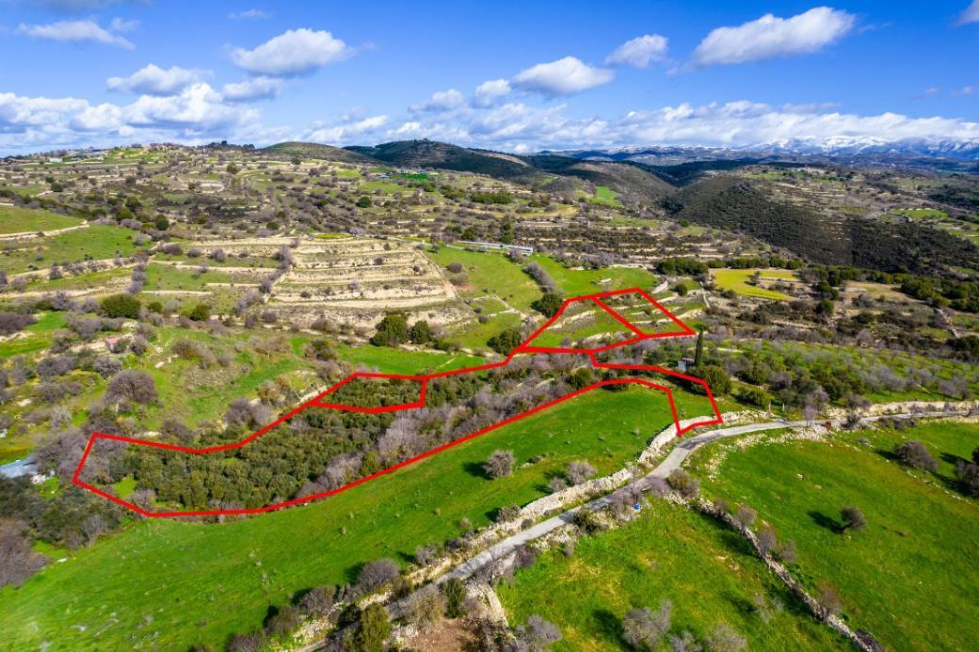 For Sale, Land, Field, Limassol, Dora, 16,545m² — image 2