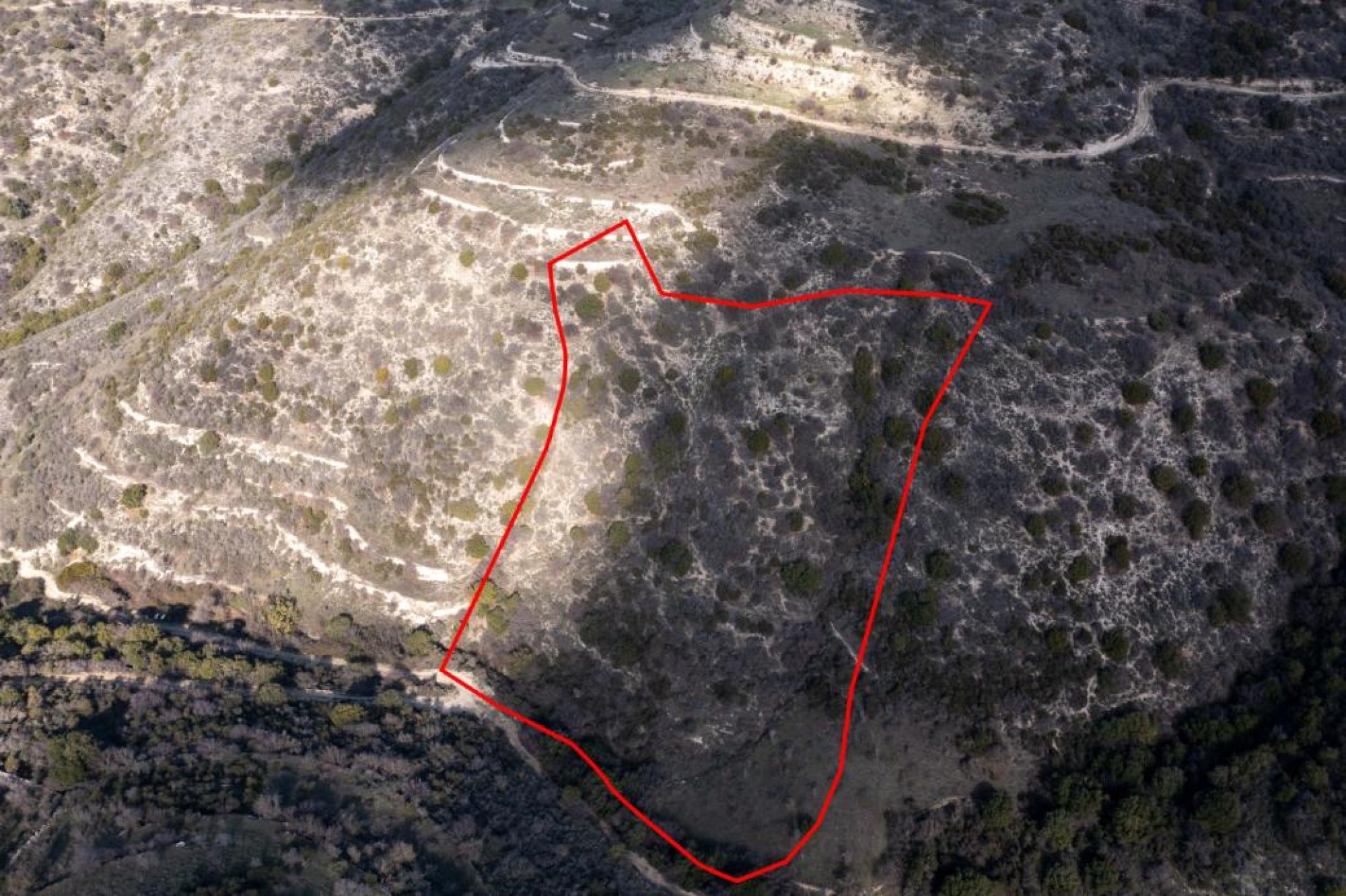 For Sale, Land, Field, Limassol, Dora, 14,791m² — image 2