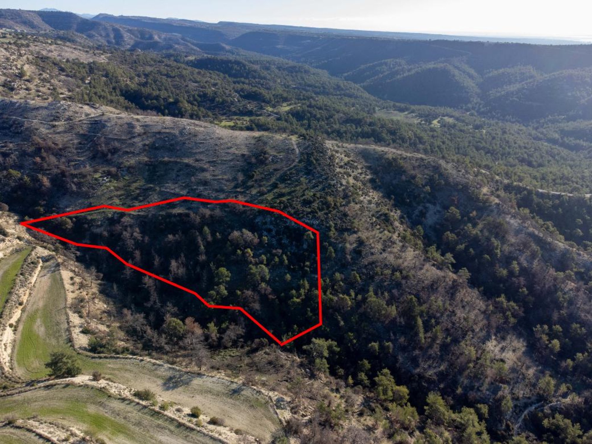 For Sale, Land, Field, Paphos, Archimandrita Pano, 14,716m²