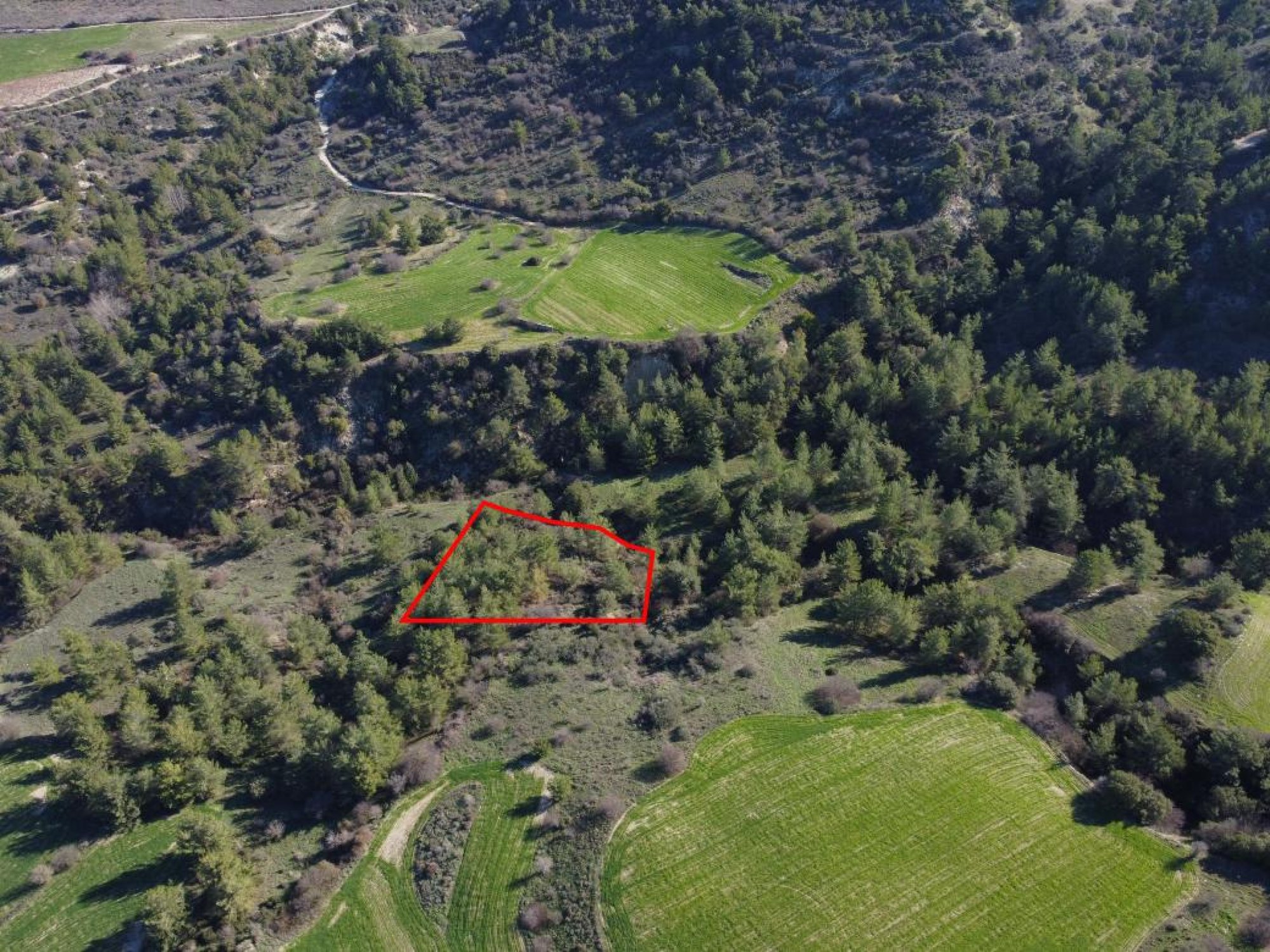 For Sale, Land, Field, Paphos, Mousere, 3,642m² — image 2