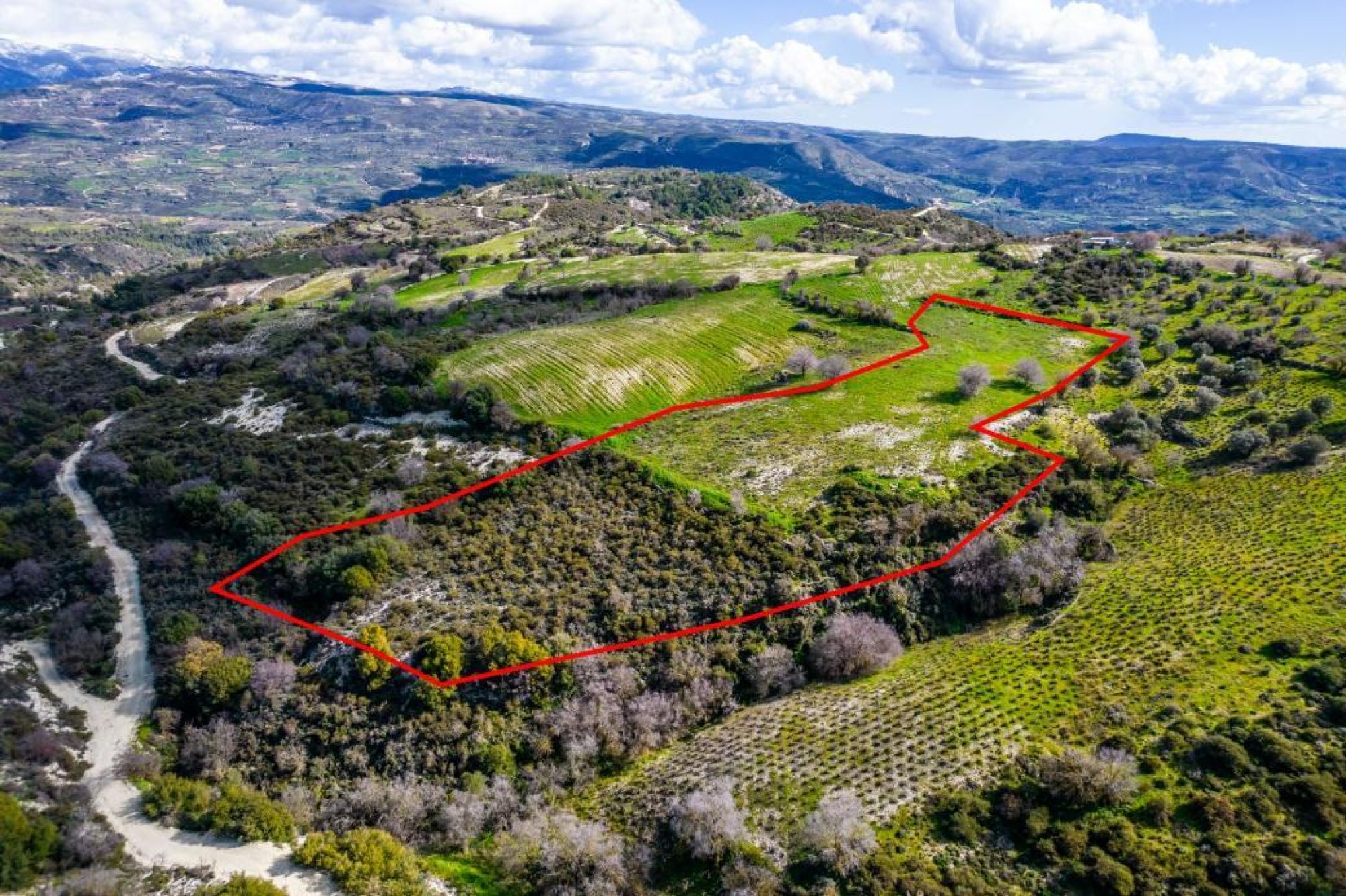 For Sale, Land, Field, Paphos, Salamiou, 12,041m²