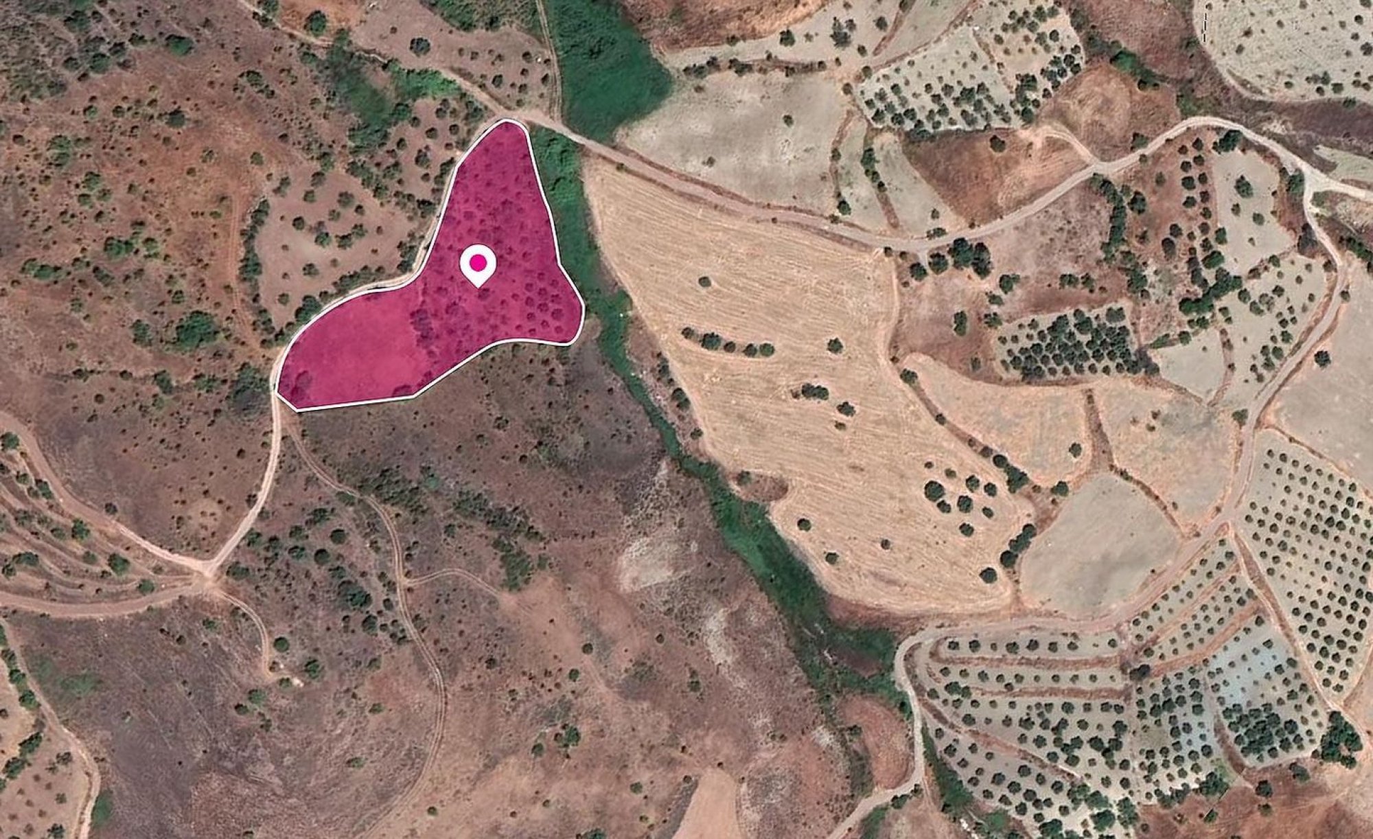 For Sale, Land, Field, Paphos, Episkopi, 7,535m² — image 4