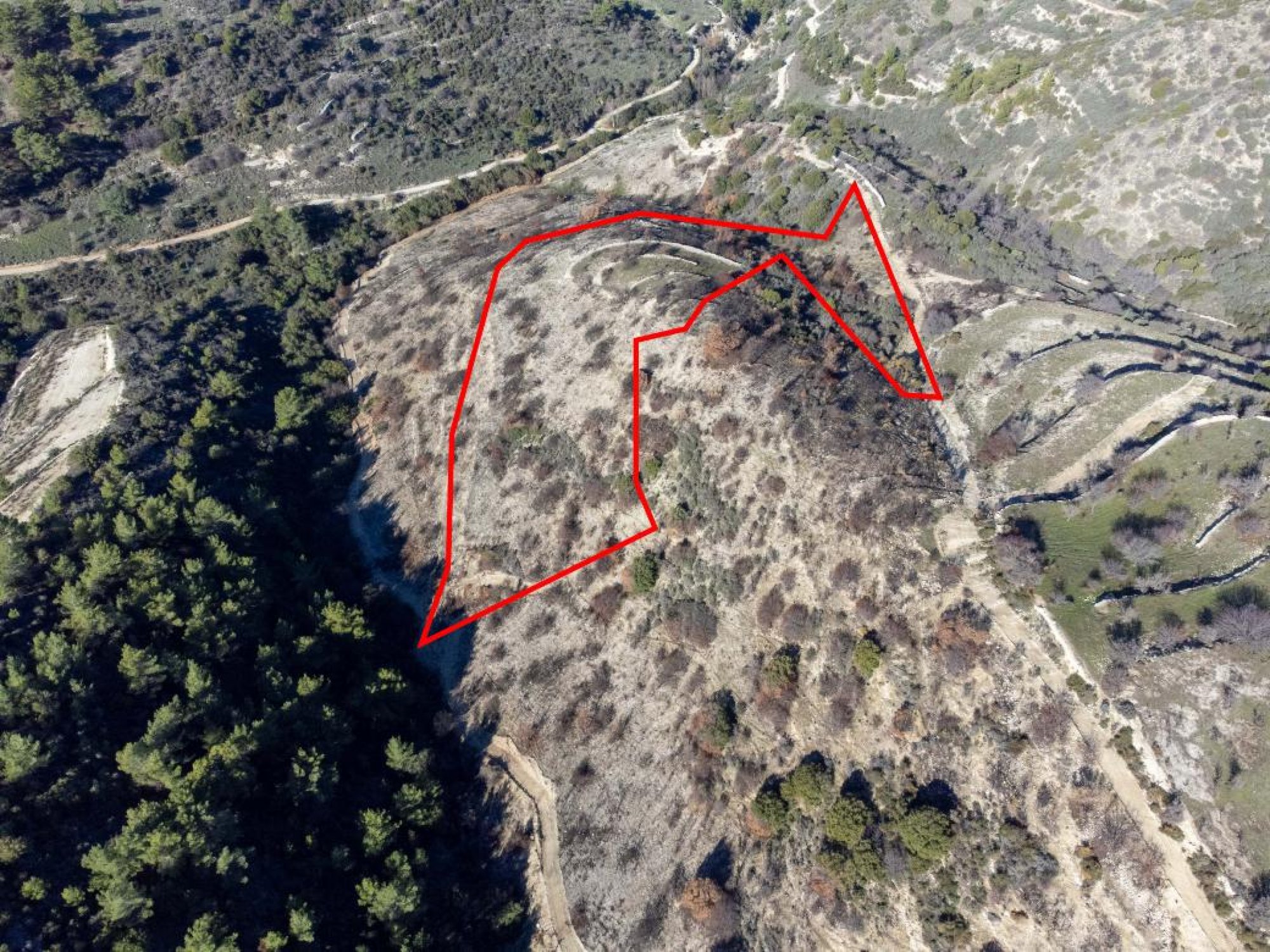 For Sale, Land, Field, Paphos, Mousere, 9,700m² — image 2