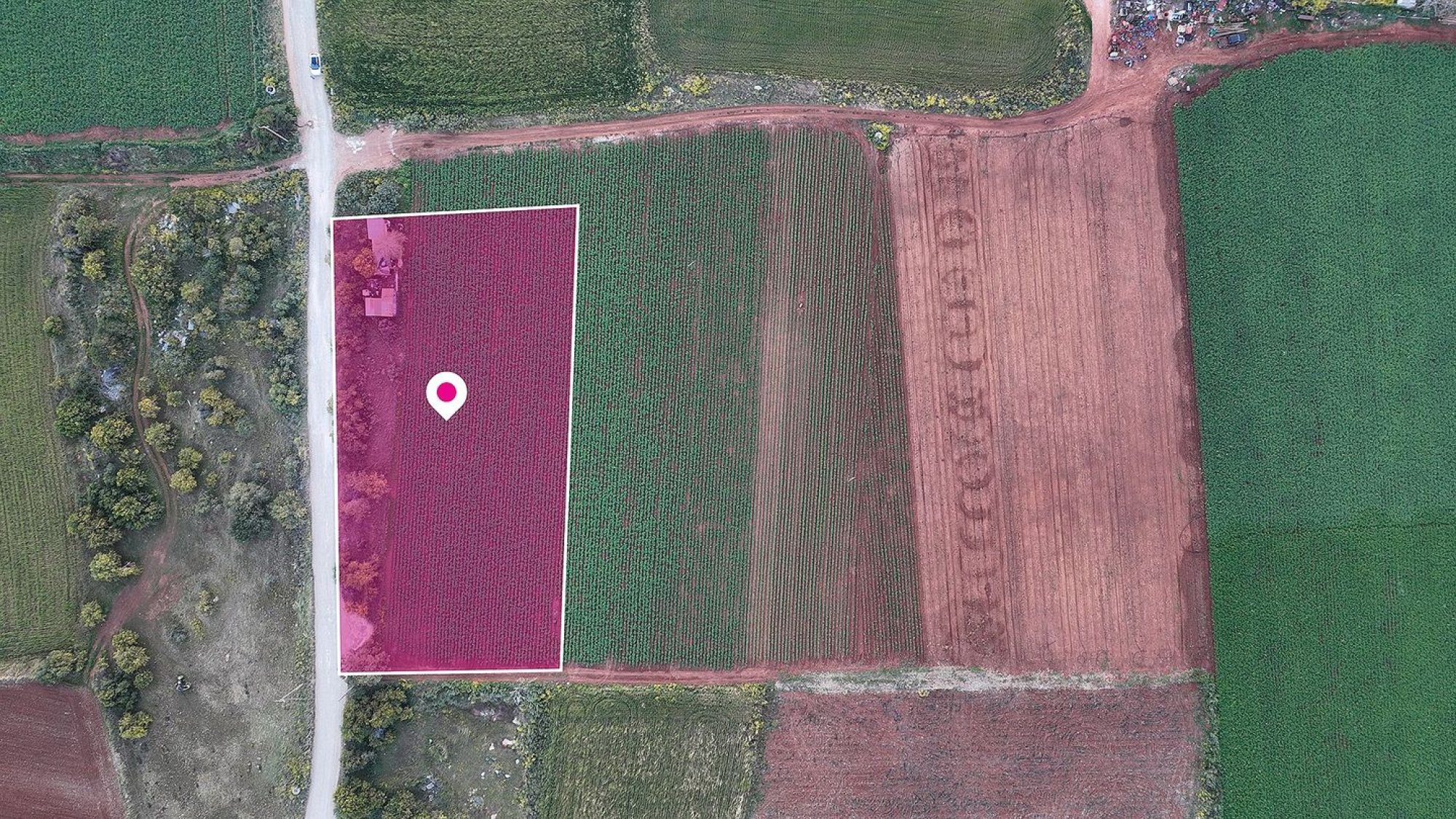 Land, Field, Famagusta, Liopetri, 4,033m² — image 4