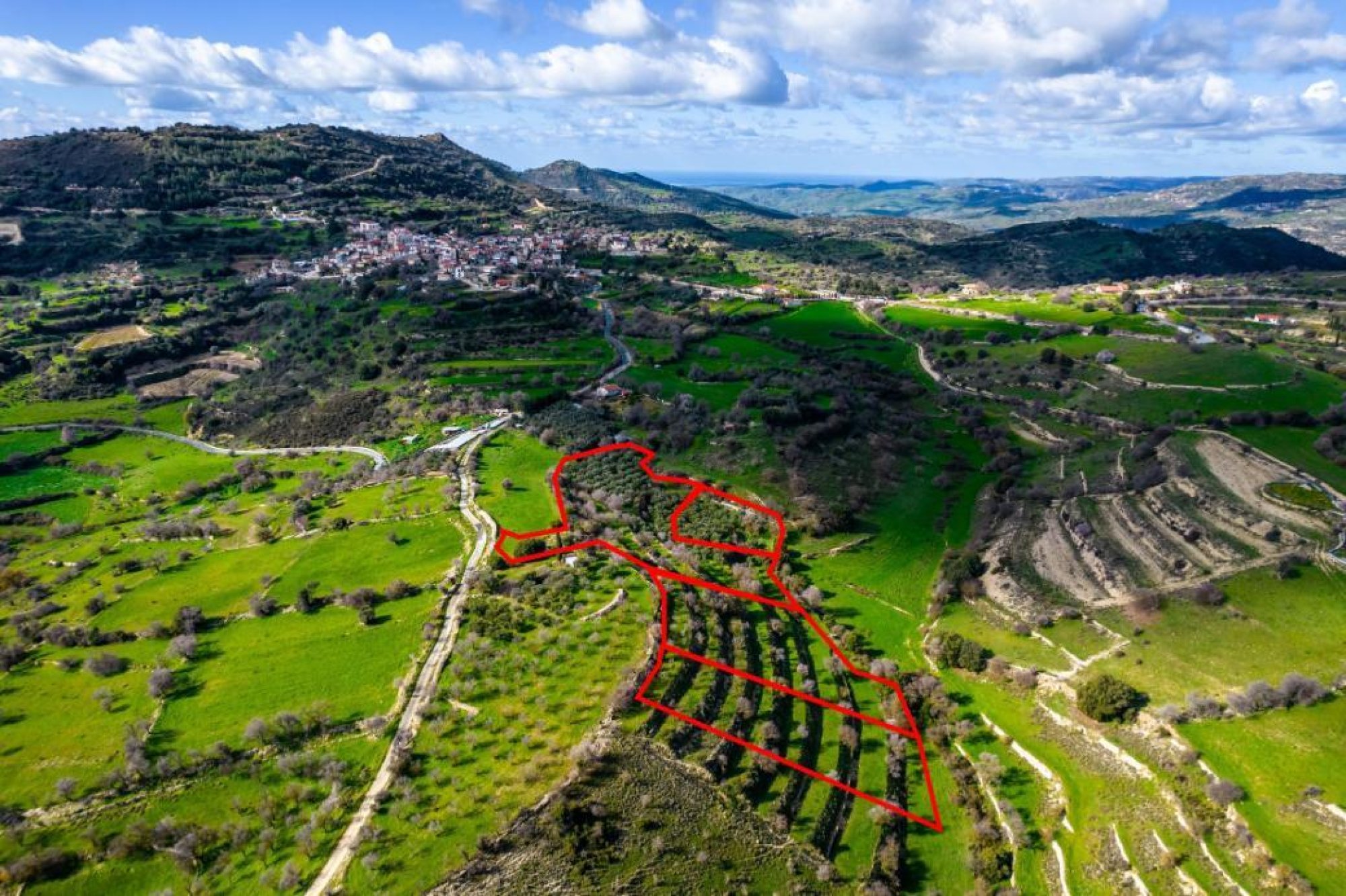 For Sale, Land, Field, Limassol, Dora, 16,545m² — image 3