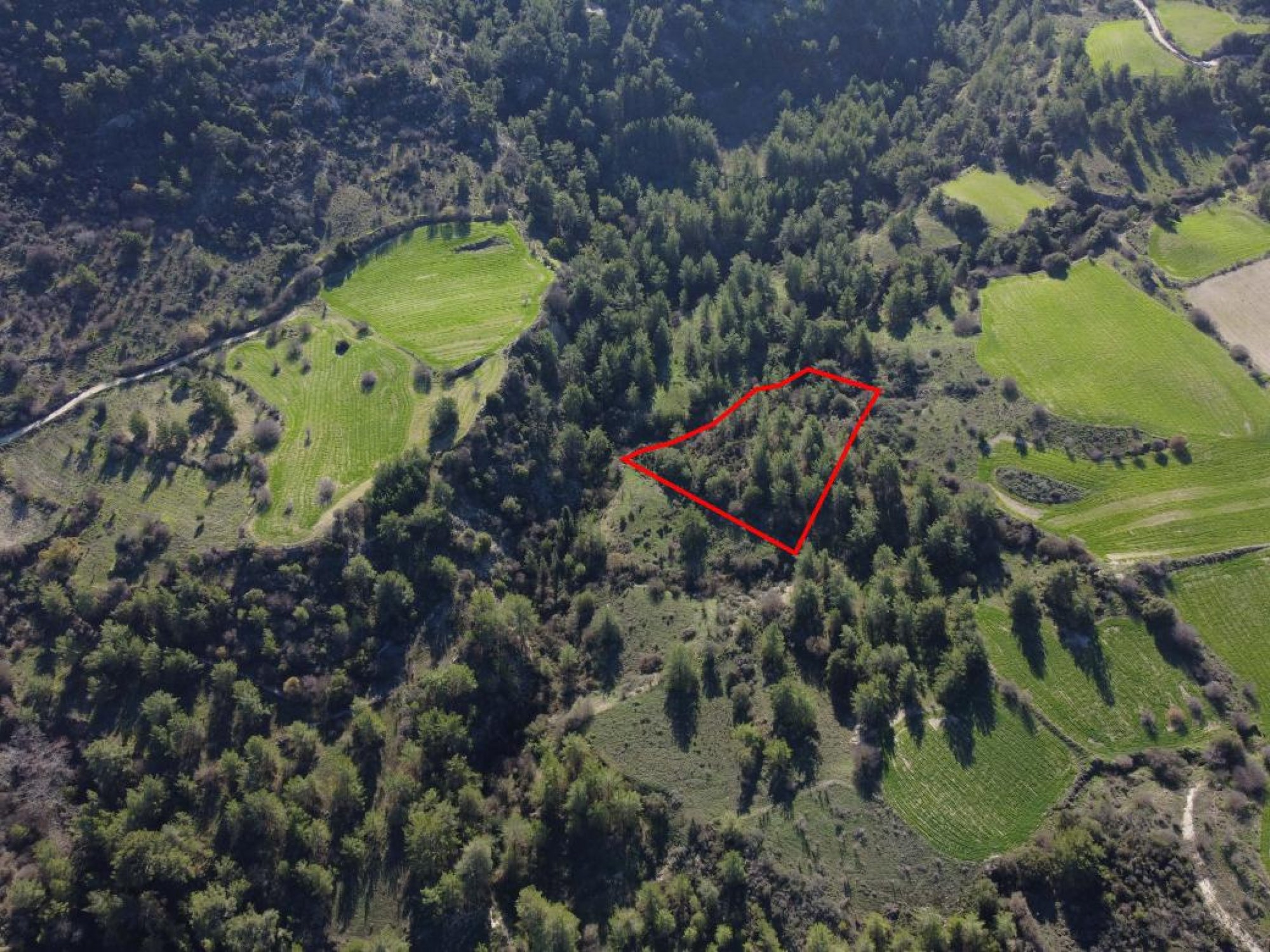 For Sale, Land, Field, Paphos, Mousere, 3,642m² — image 3