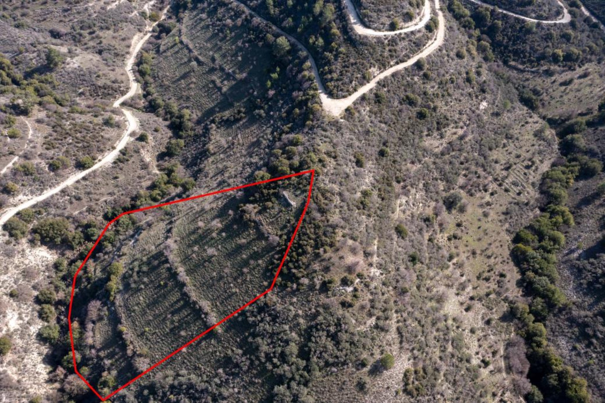 For Sale, Land, Field, Limassol, Dora, 12,041m² — image 2