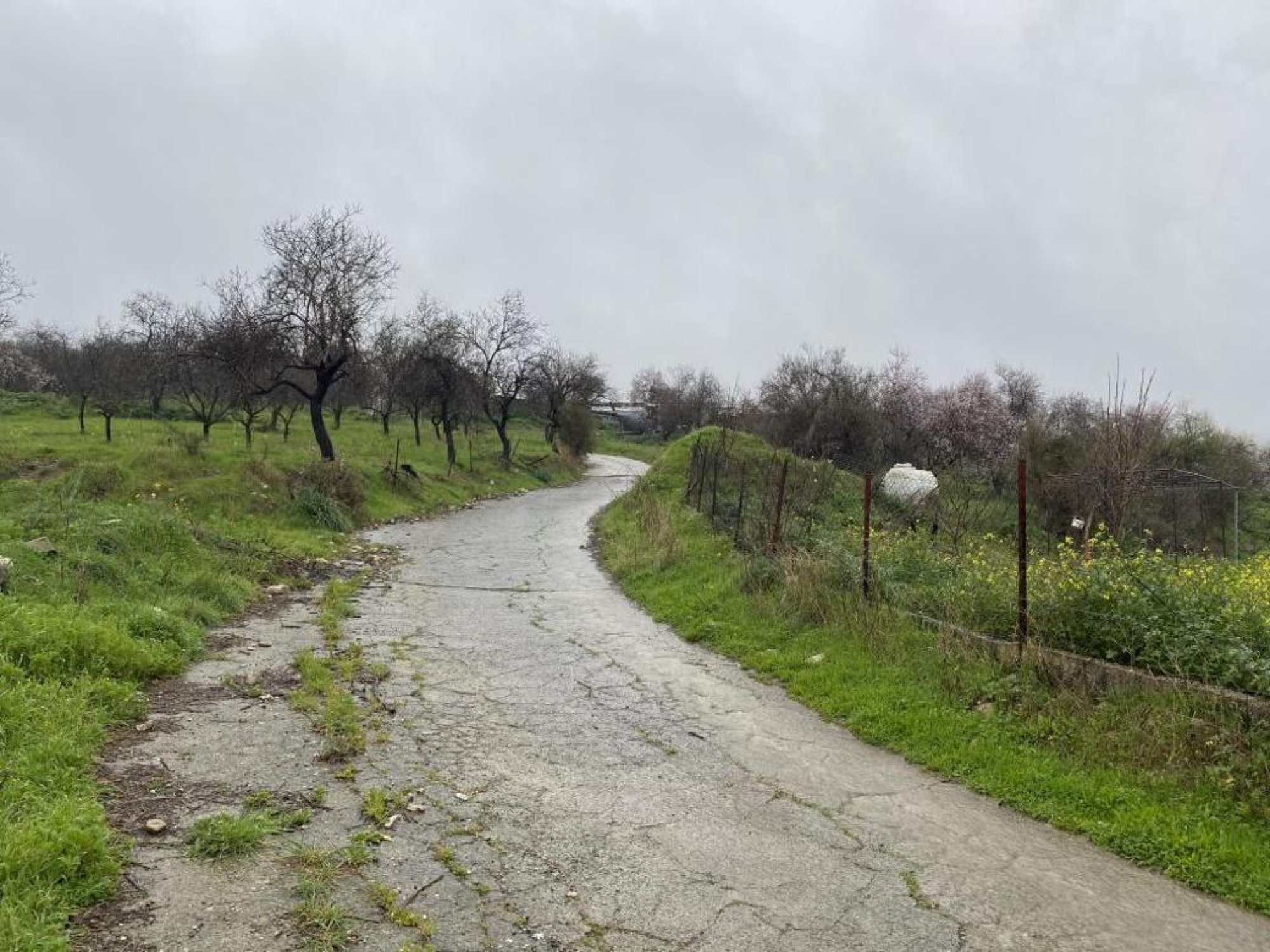 For Sale, Land, Field, Paphos, Kelokedara, 12,041m² — image 3