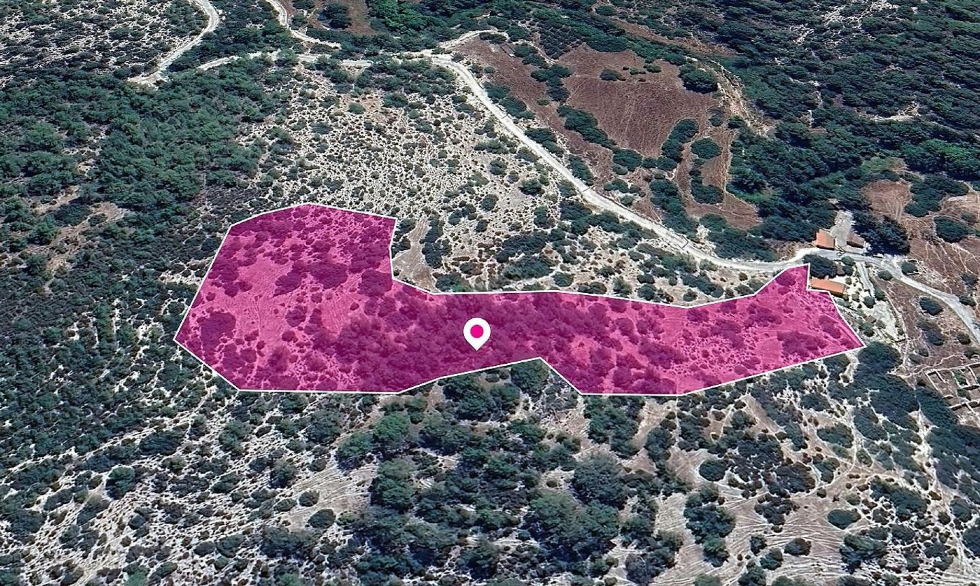 For Sale, Land, Field, Paphos, Archimandrita Pano, 14,047m² — image 3