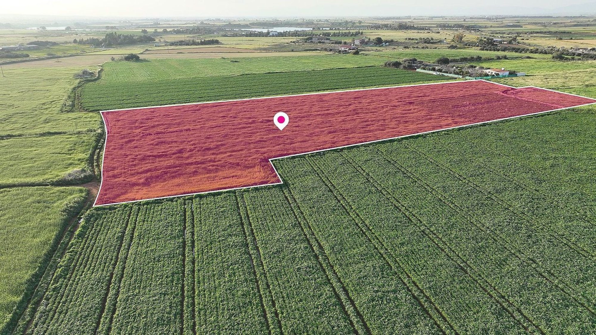 Land, Field, Famagusta, Avgorou, 16,522m² — image 4