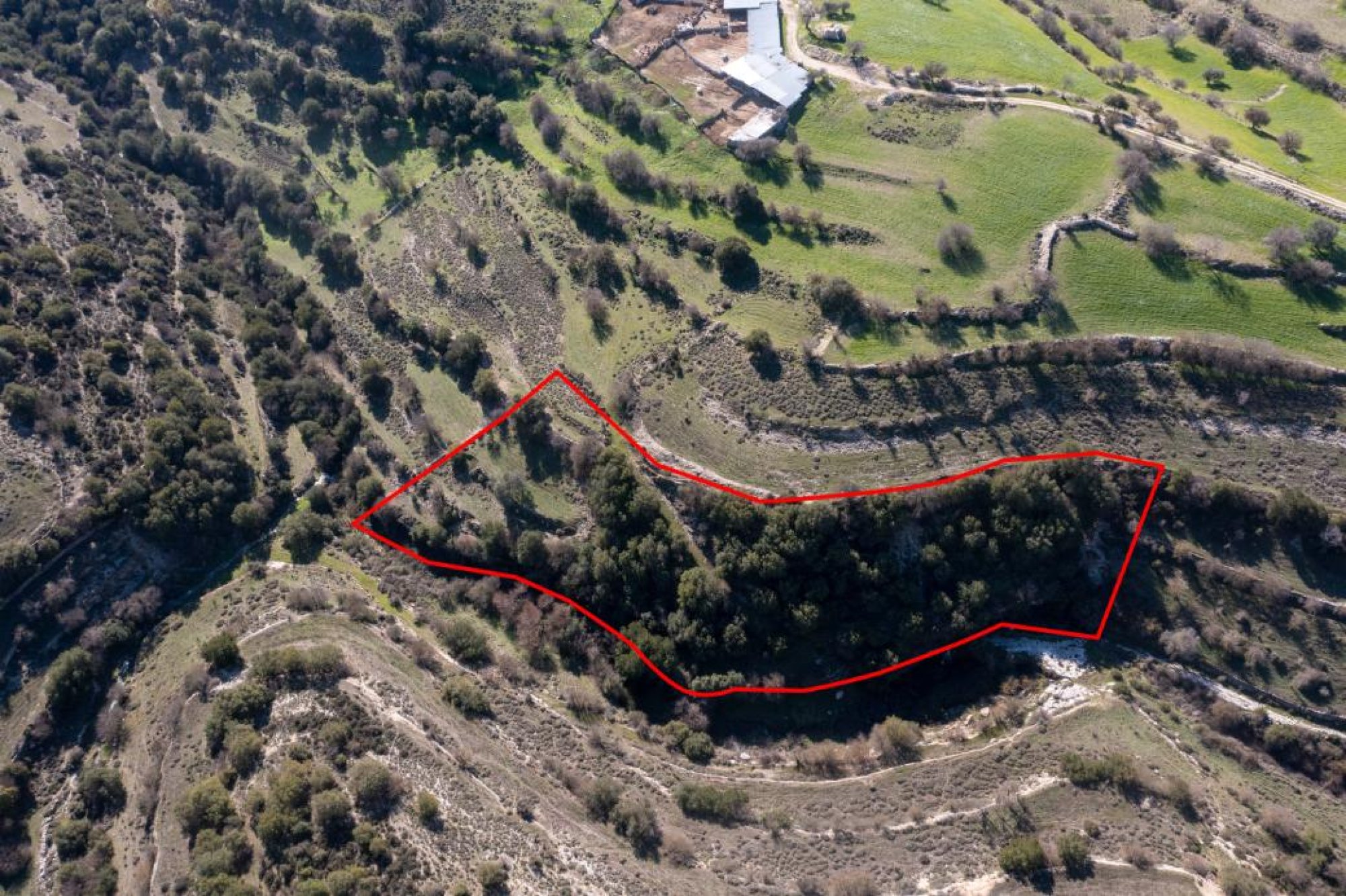 For Sale, Land, Field, Limassol, Dora, 5,017m²