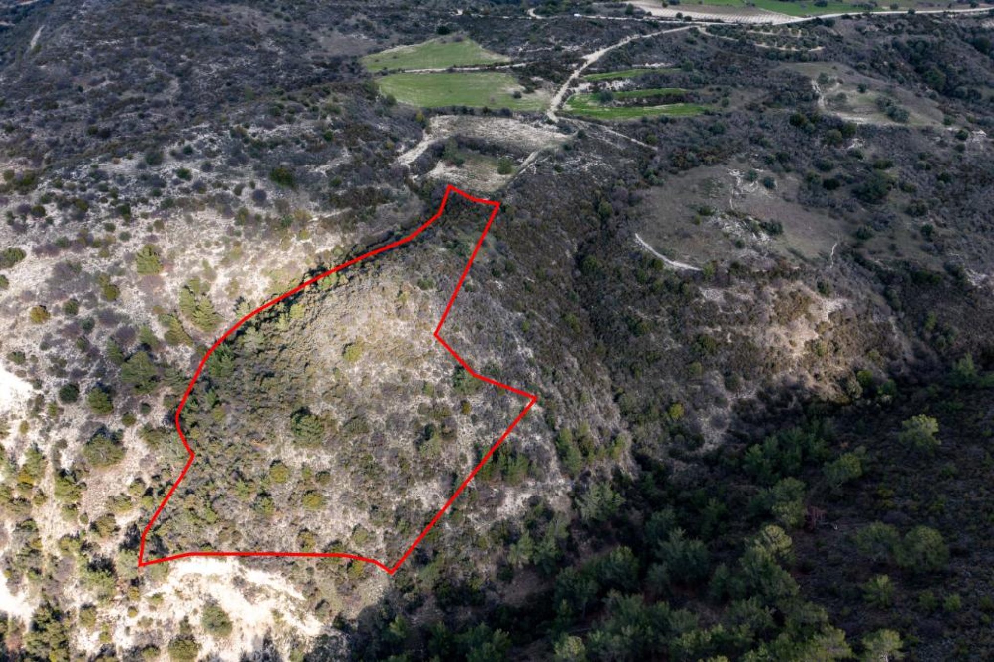 For Sale, Land, Field, Limassol, Dora, 13,044m²