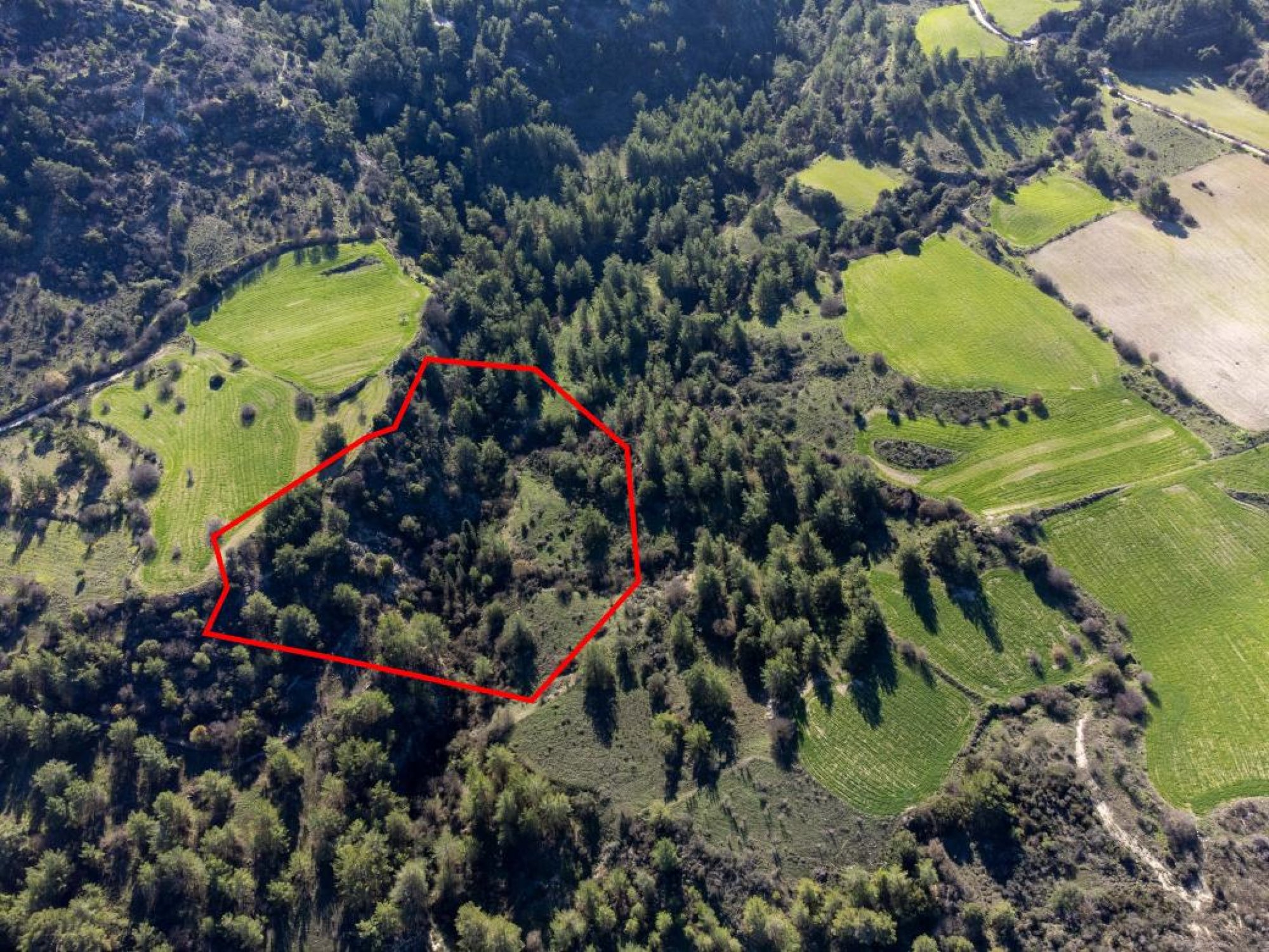 For Sale, Land, Field, Paphos, Mousere, 9,365m² — image 3