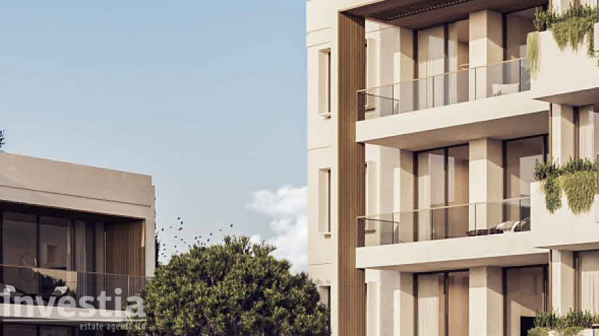 For Sale, Apartment, Standard Apartment, Famagusta, Kapparis, 0m² — image 3