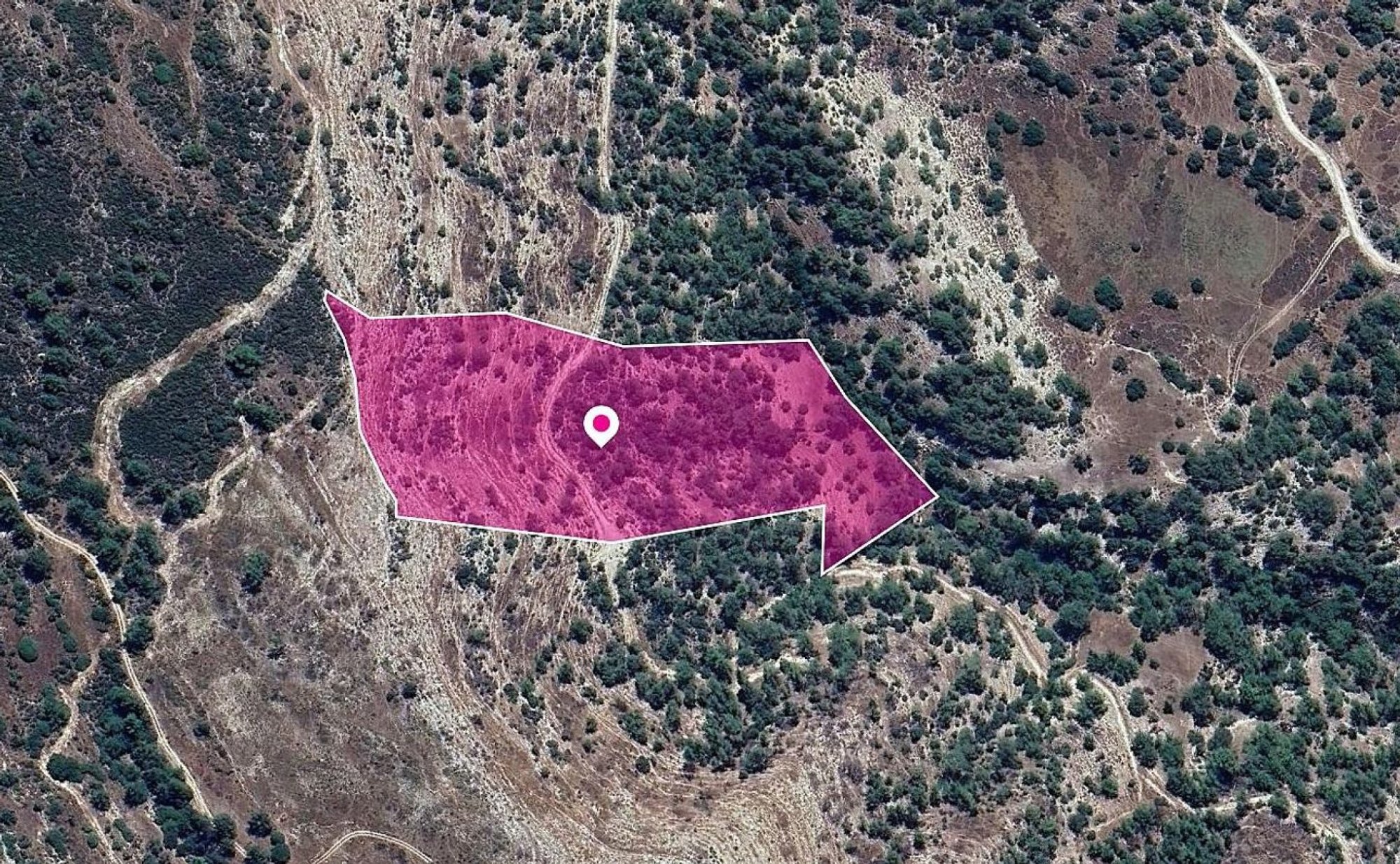 For Sale, Land, Field, Paphos, Archimandrita Pano, 25,084m² — image 2