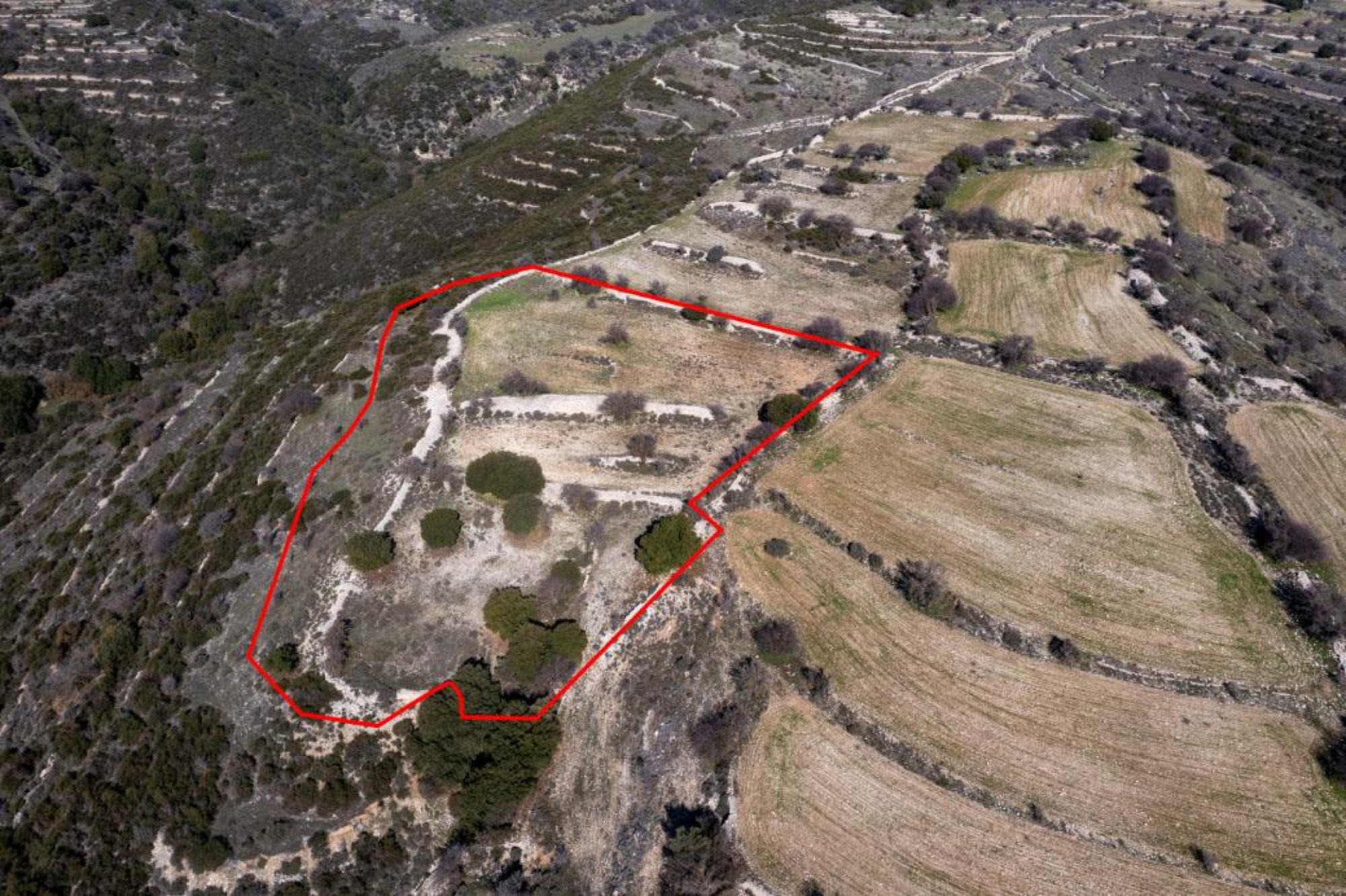 For Sale, Land, Field, Limassol, Dora, 11,372m² — image 3