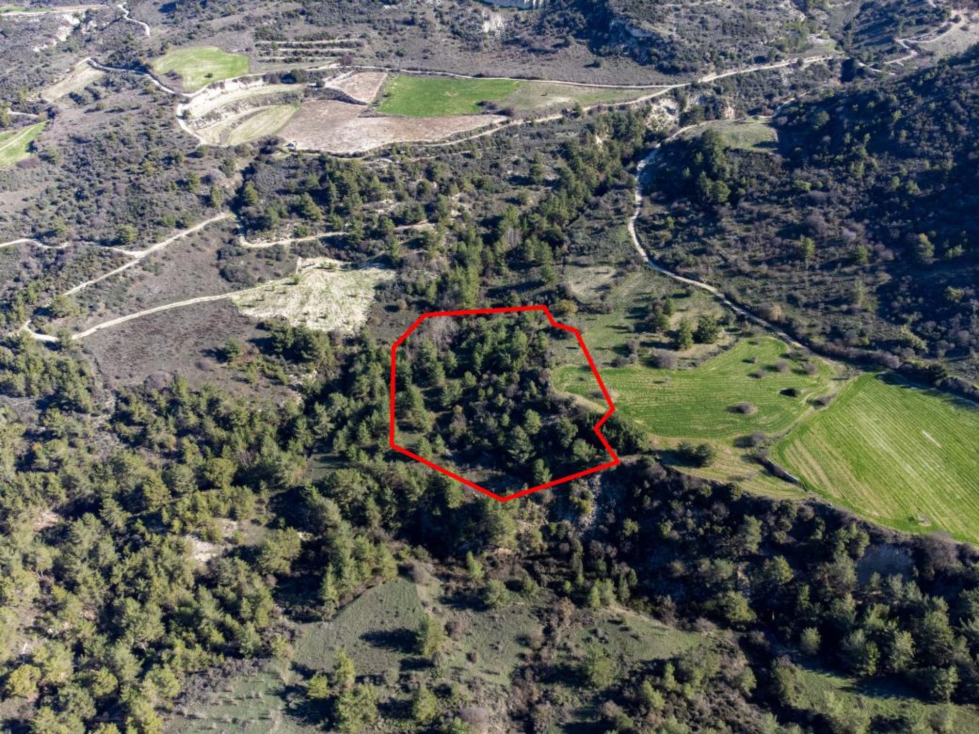 For Sale, Land, Field, Paphos, Mousere, 9,365m² — image 2