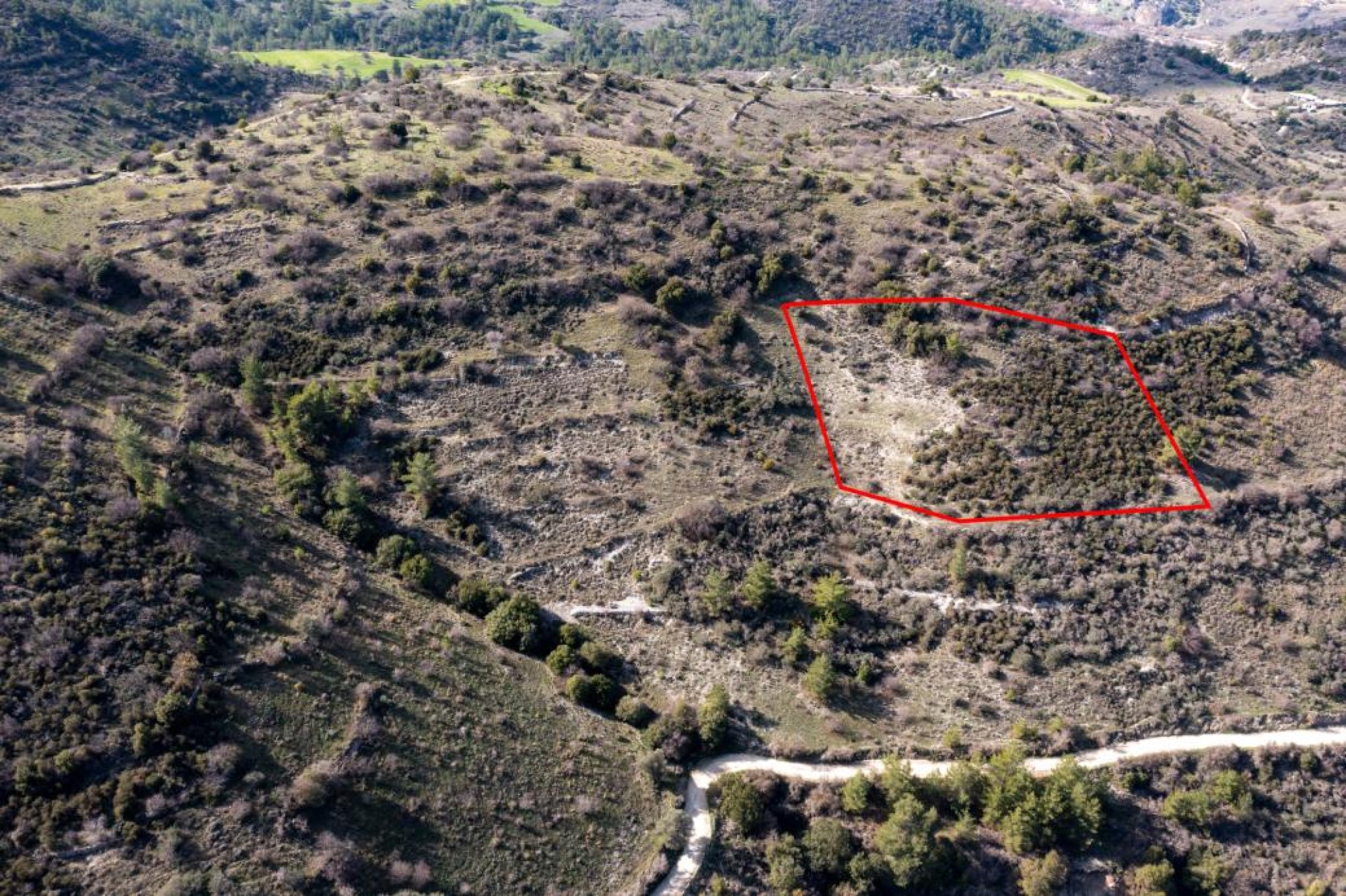 For Sale, Land, Field, Limassol, Dora, 6,355m² — image 2