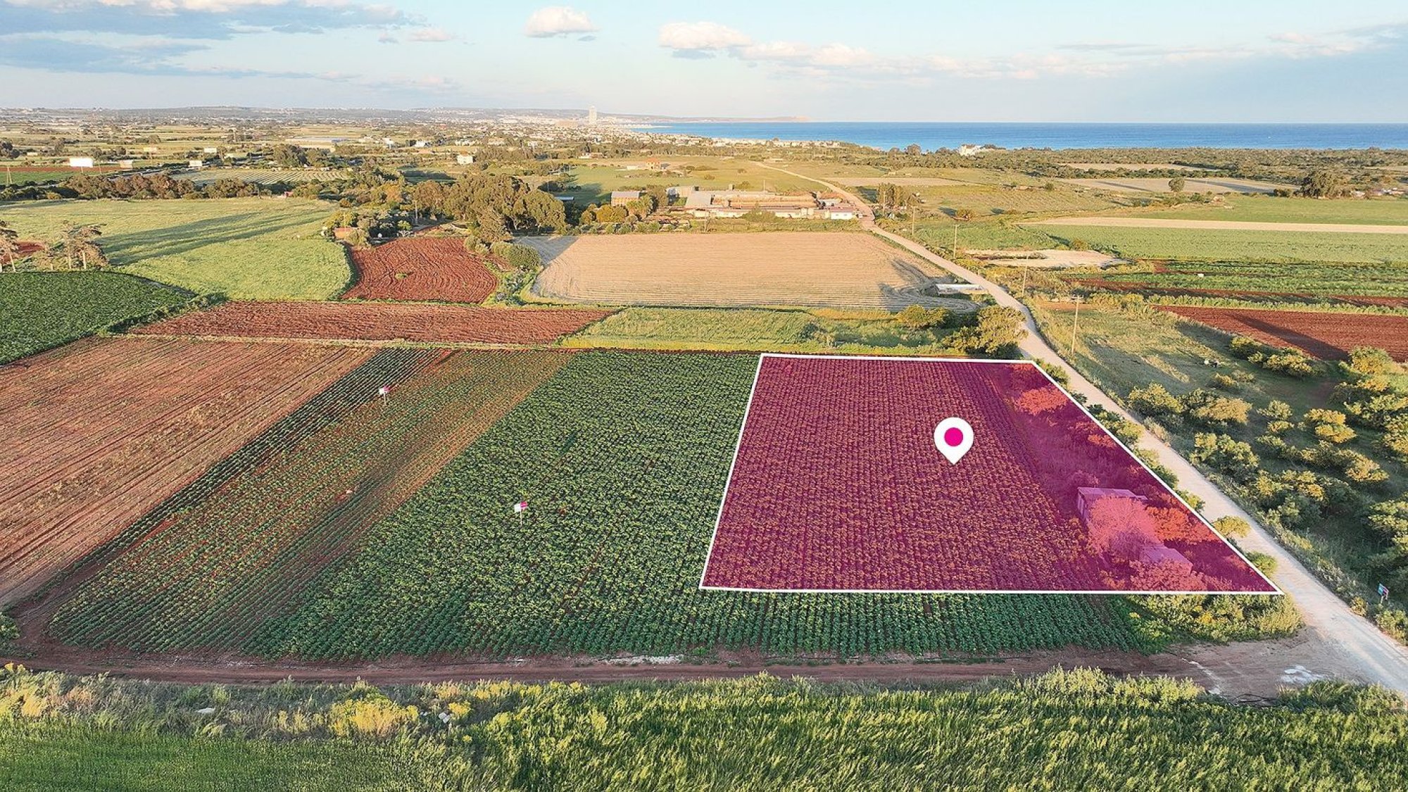 Land, Field, Famagusta, Liopetri, 4,033m² — image 3