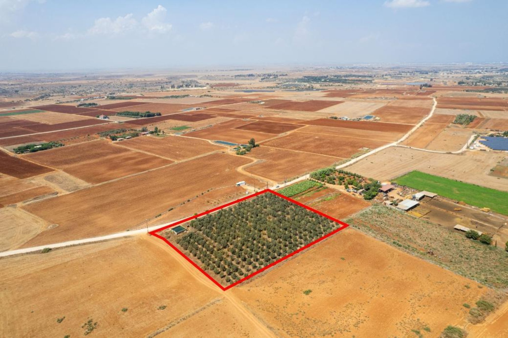 For Sale, Land, Field, Famagusta, Avgorou, 9,384m² — image 3