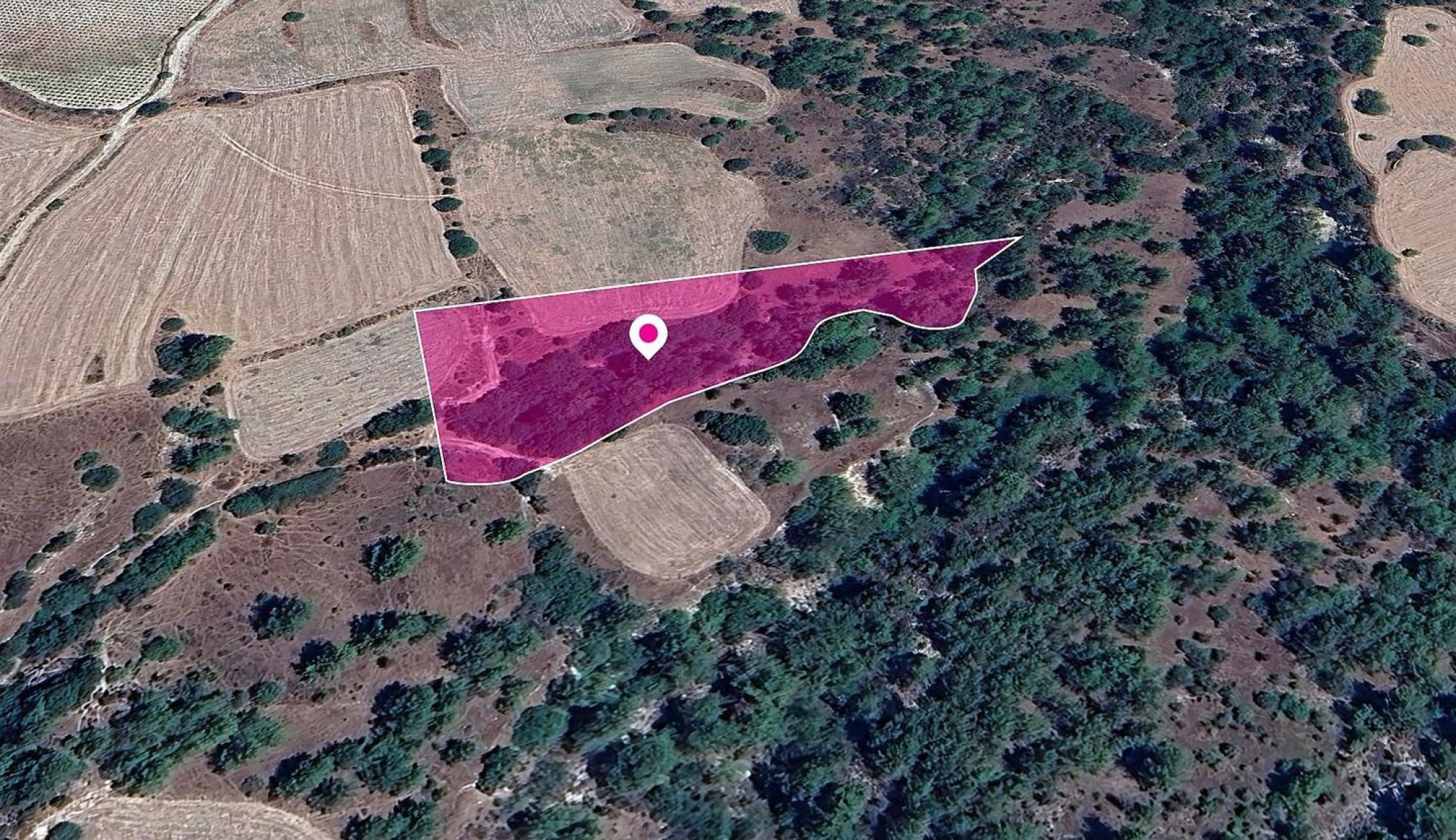 For Sale, Land, Field, Paphos, Mousere, 9,700m² — image 3