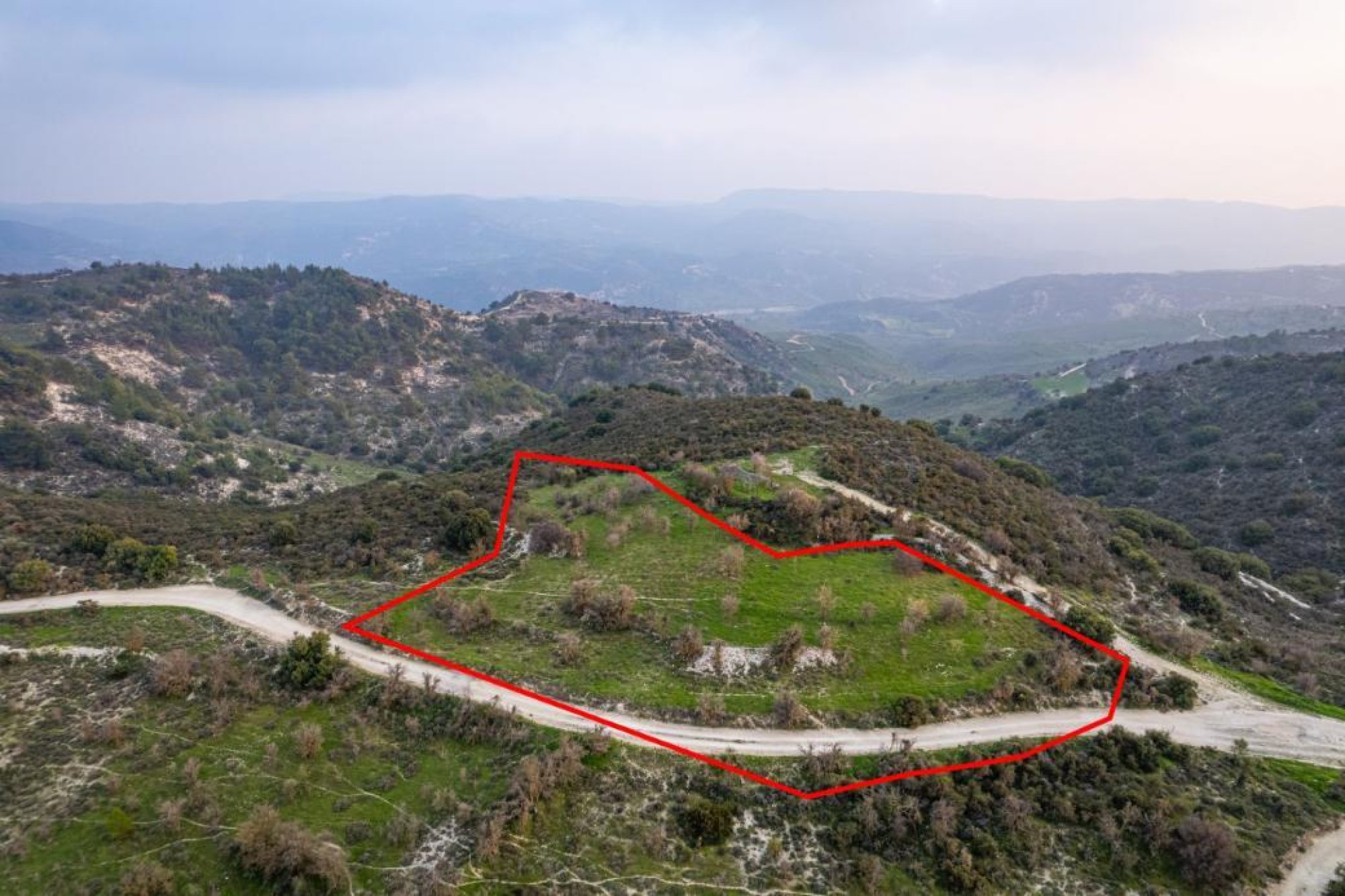 For Sale, Land, Field, Paphos, Salamiou, 4,348m²