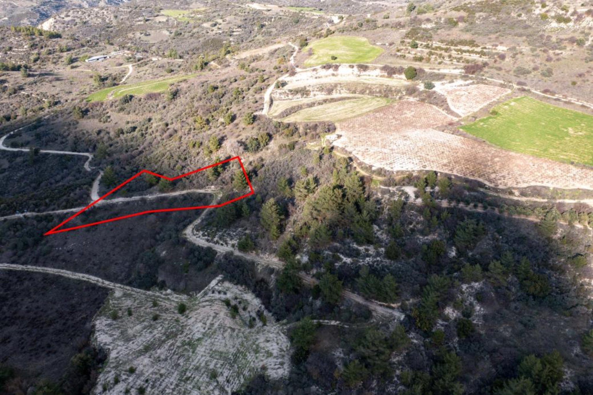 For Sale, Land, Field, Limassol, Dora, 2,676m² — image 3