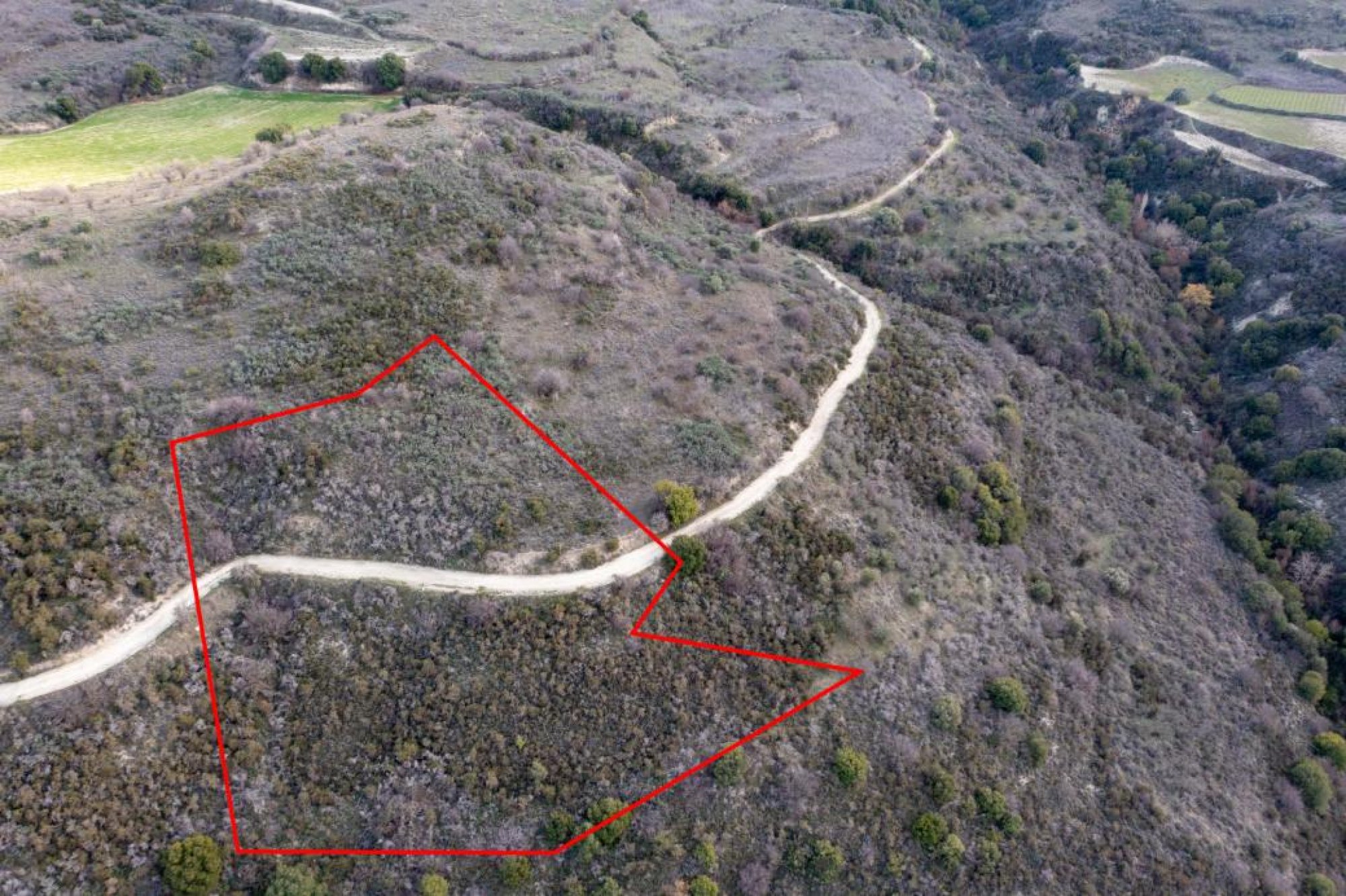 For Sale, Land, Field, Limassol, Dora, 5,017m² — image 3