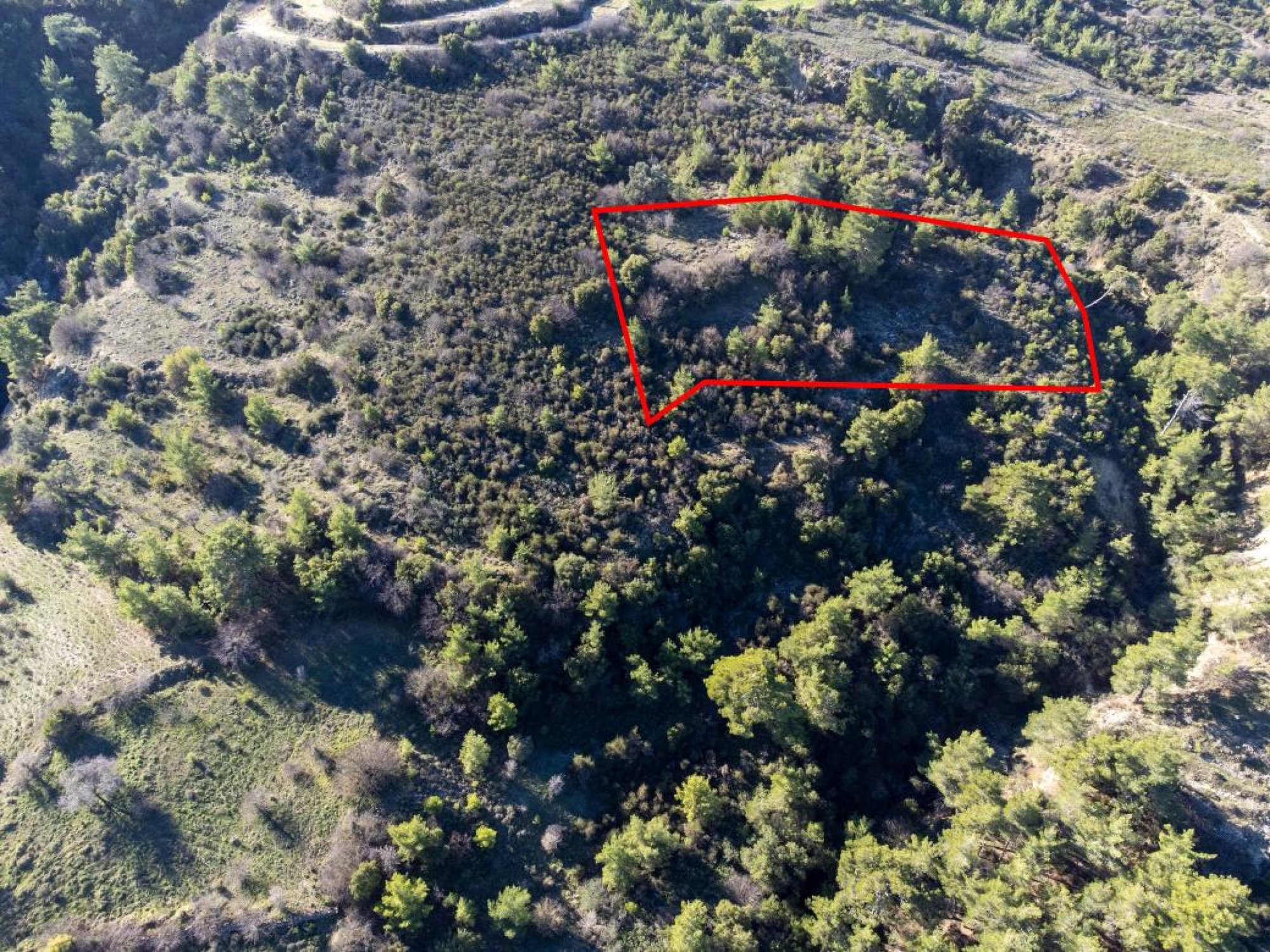 For Sale, Land, Field, Paphos, Mousere, 6,689m² — image 2