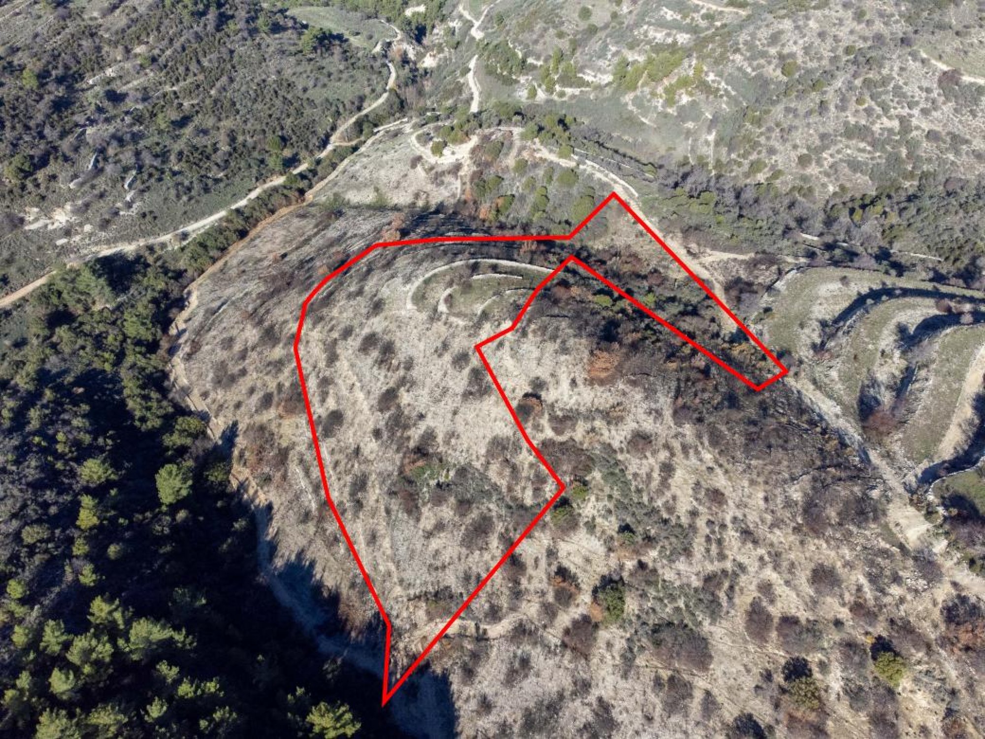 For Sale, Land, Field, Paphos, Mousere, 9,700m² — image 3