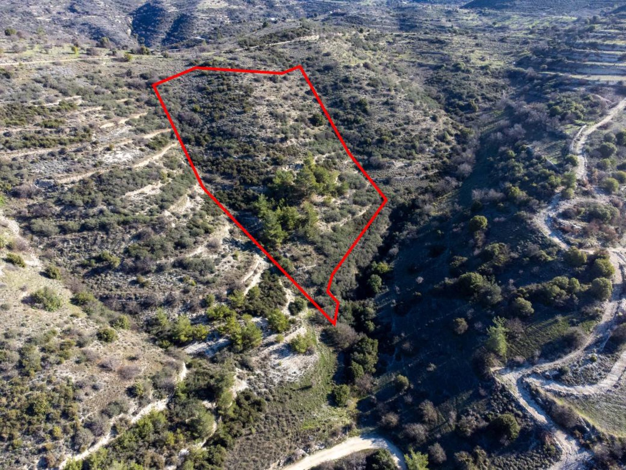 For Sale, Land, Field, Paphos, Mousere, 12,041m² — image 3