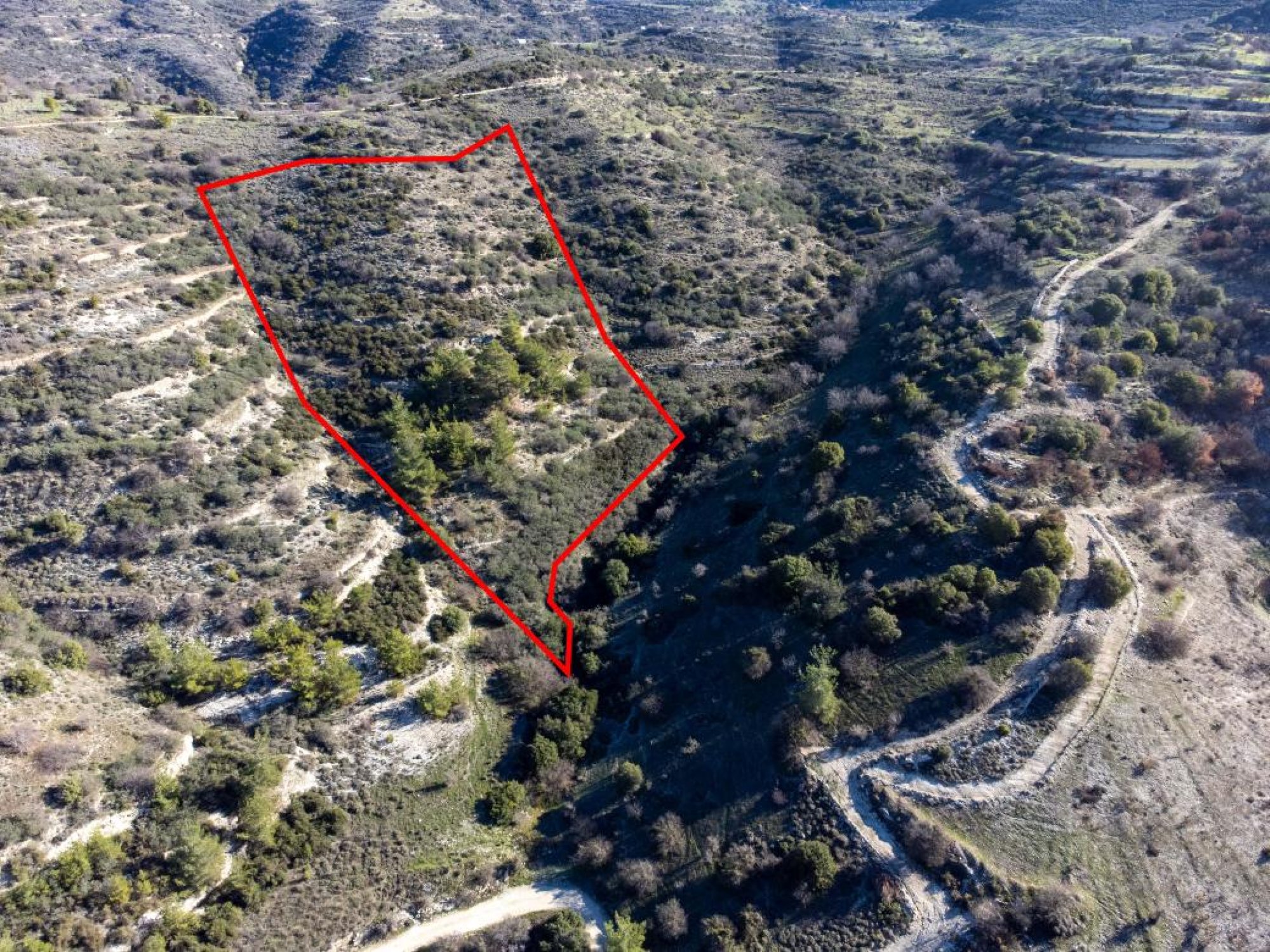 For Sale, Land, Field, Paphos, Mousere, 12,041m² — image 2