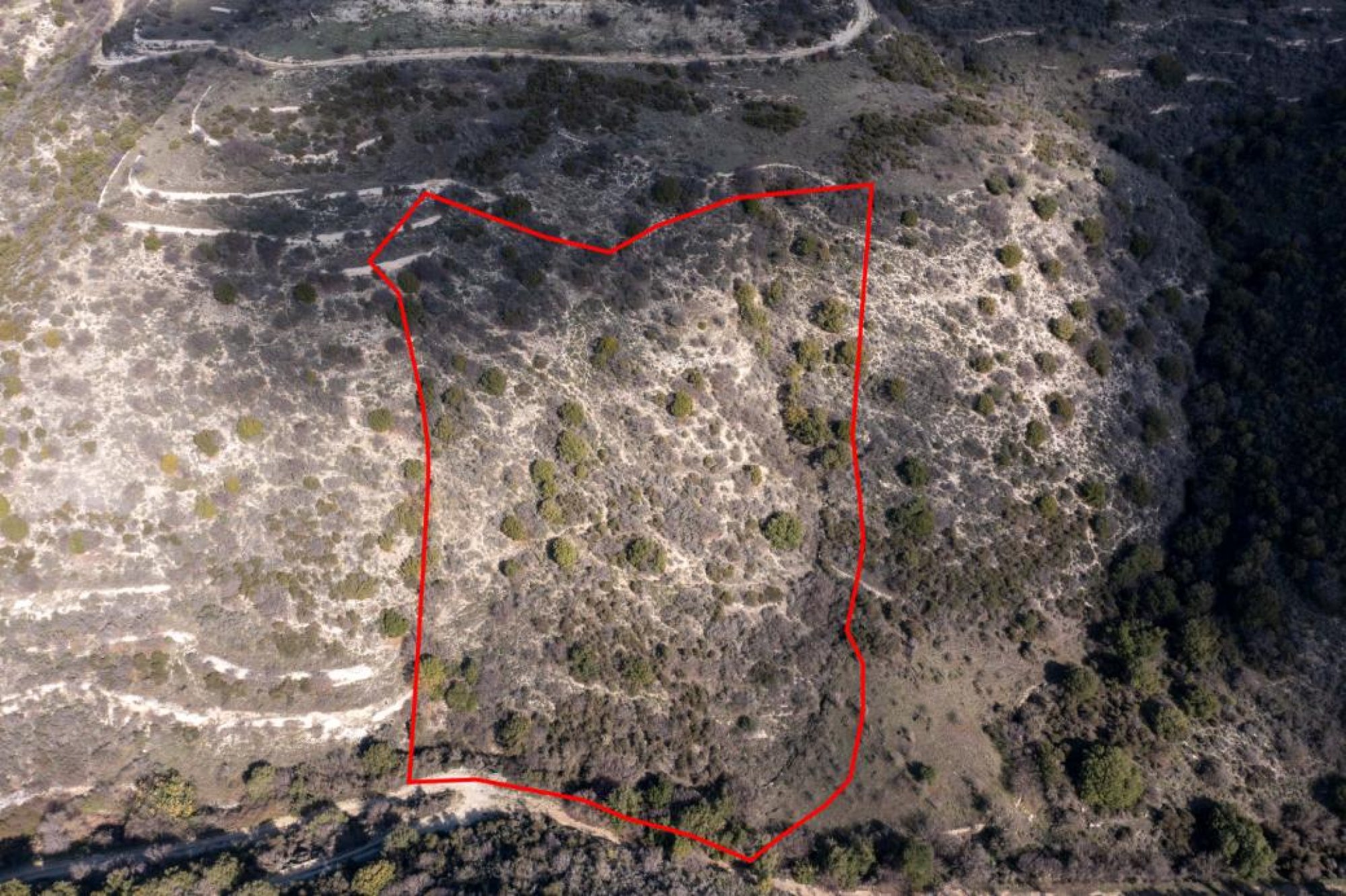 For Sale, Land, Field, Limassol, Dora, 14,791m² — image 3