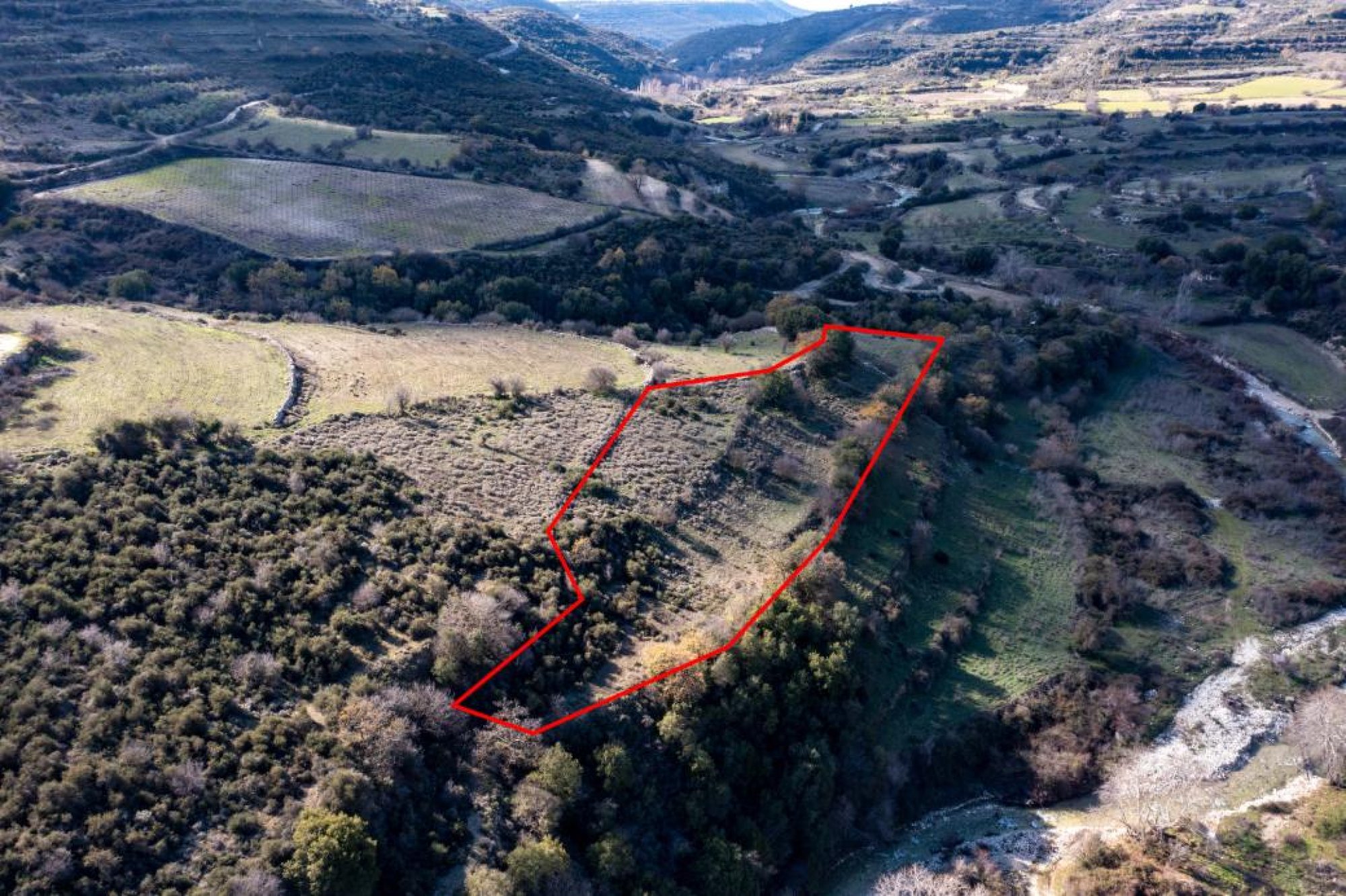 For Sale, Land, Field, Limassol, Dora, 4,683m² — image 3