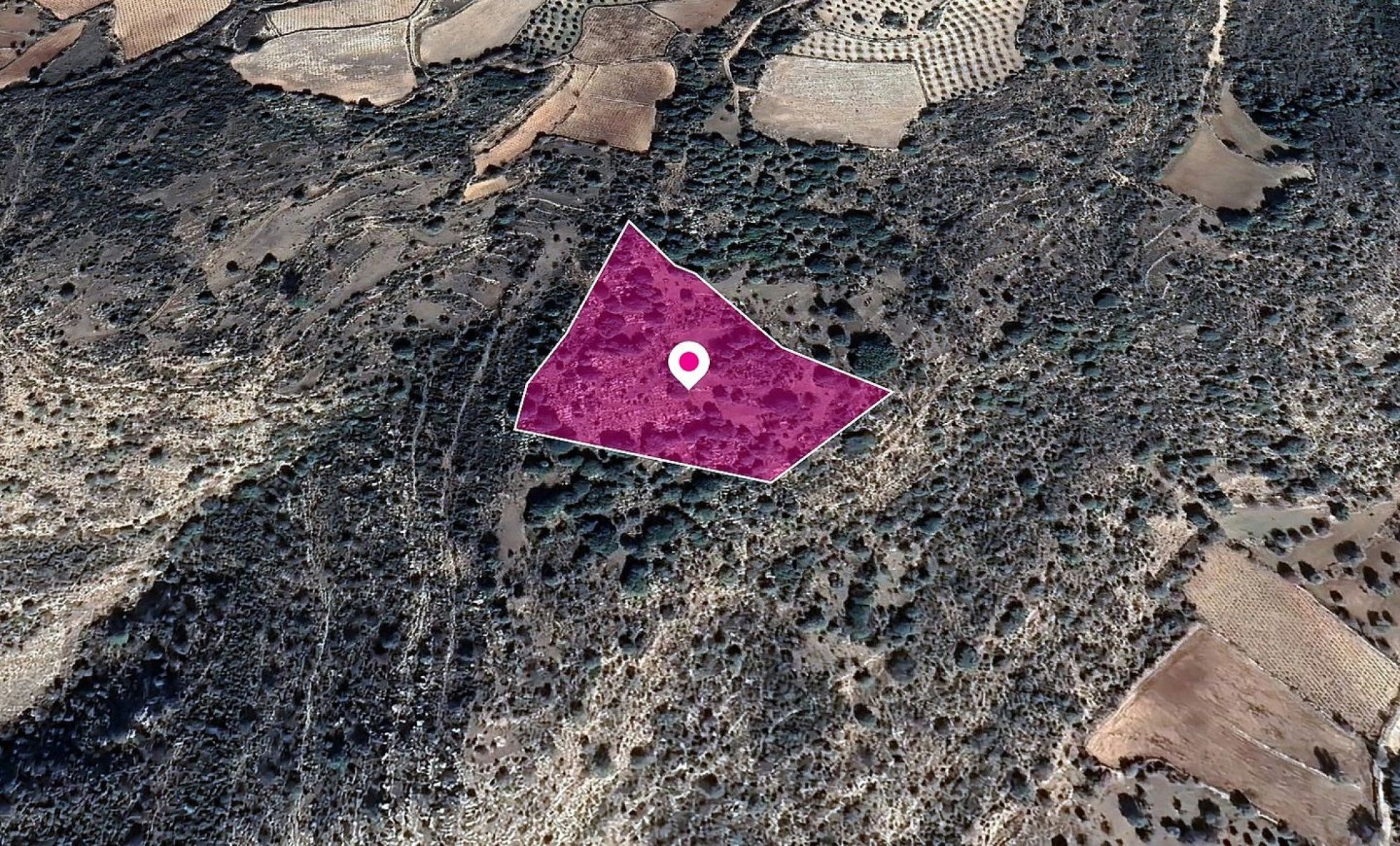 Land, Field, Limassol, Dora, 18,061m² — image 3